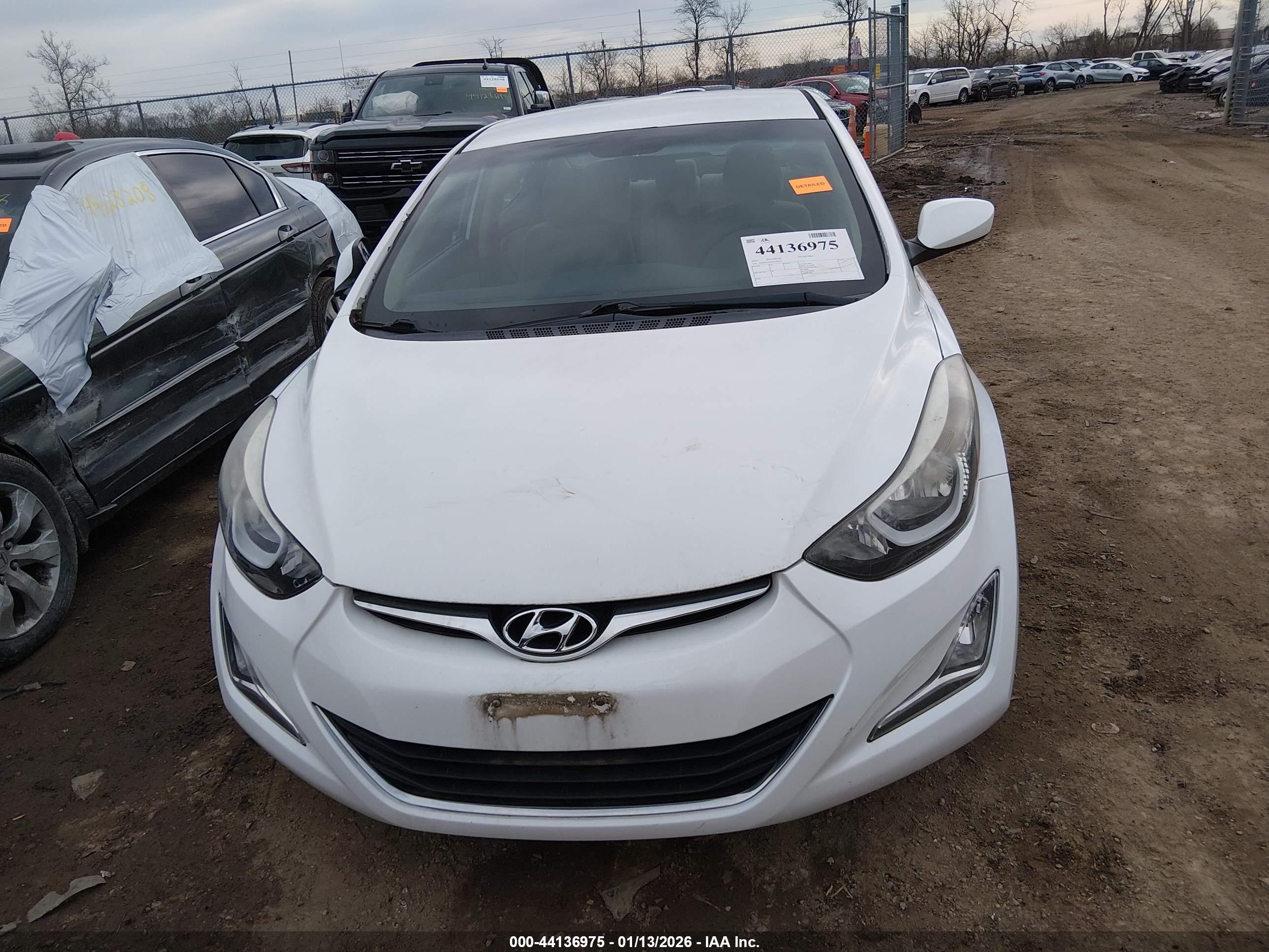 HYUNDAI ELANTRA image 6