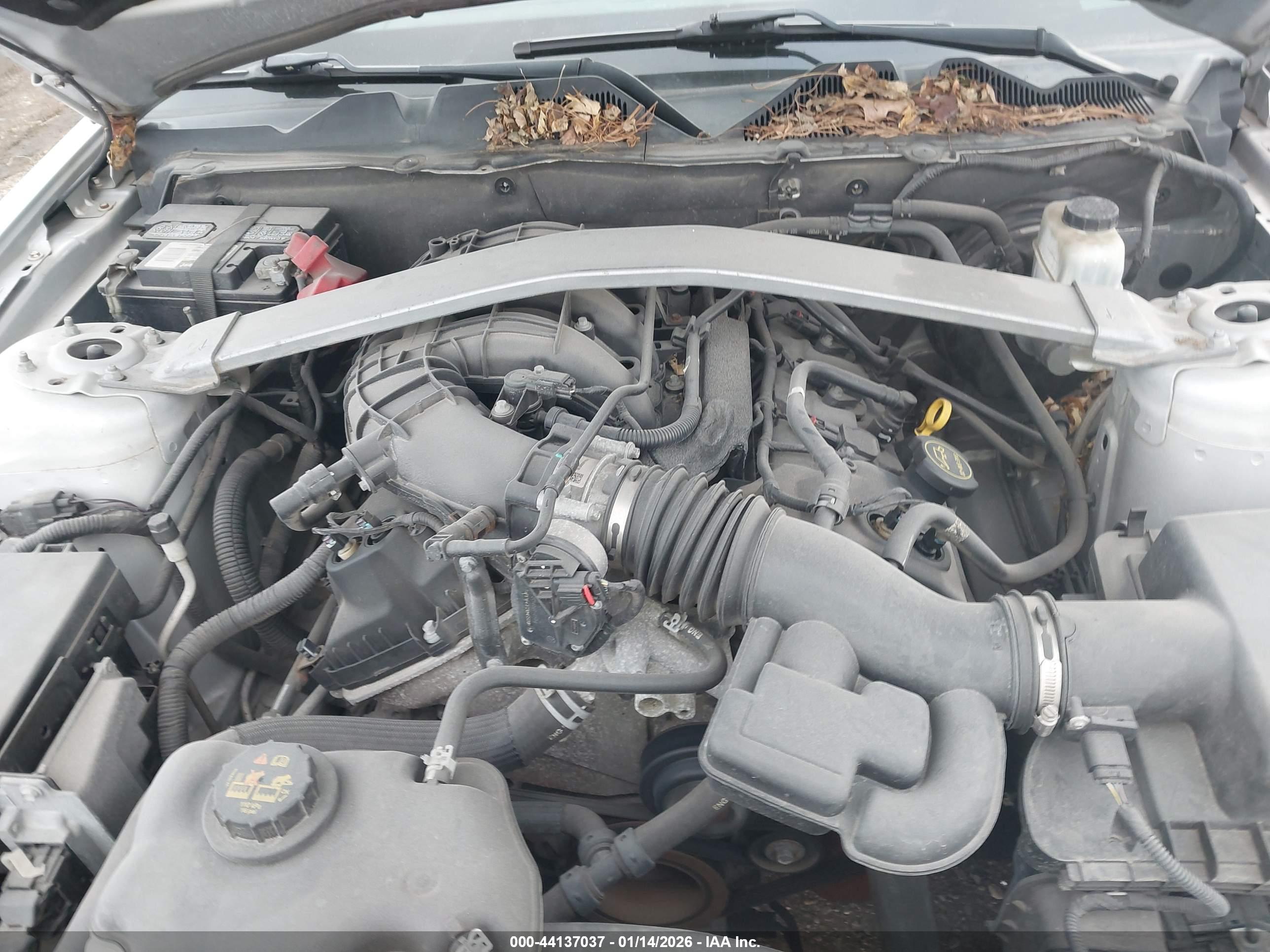 FORD MUSTANG image 10