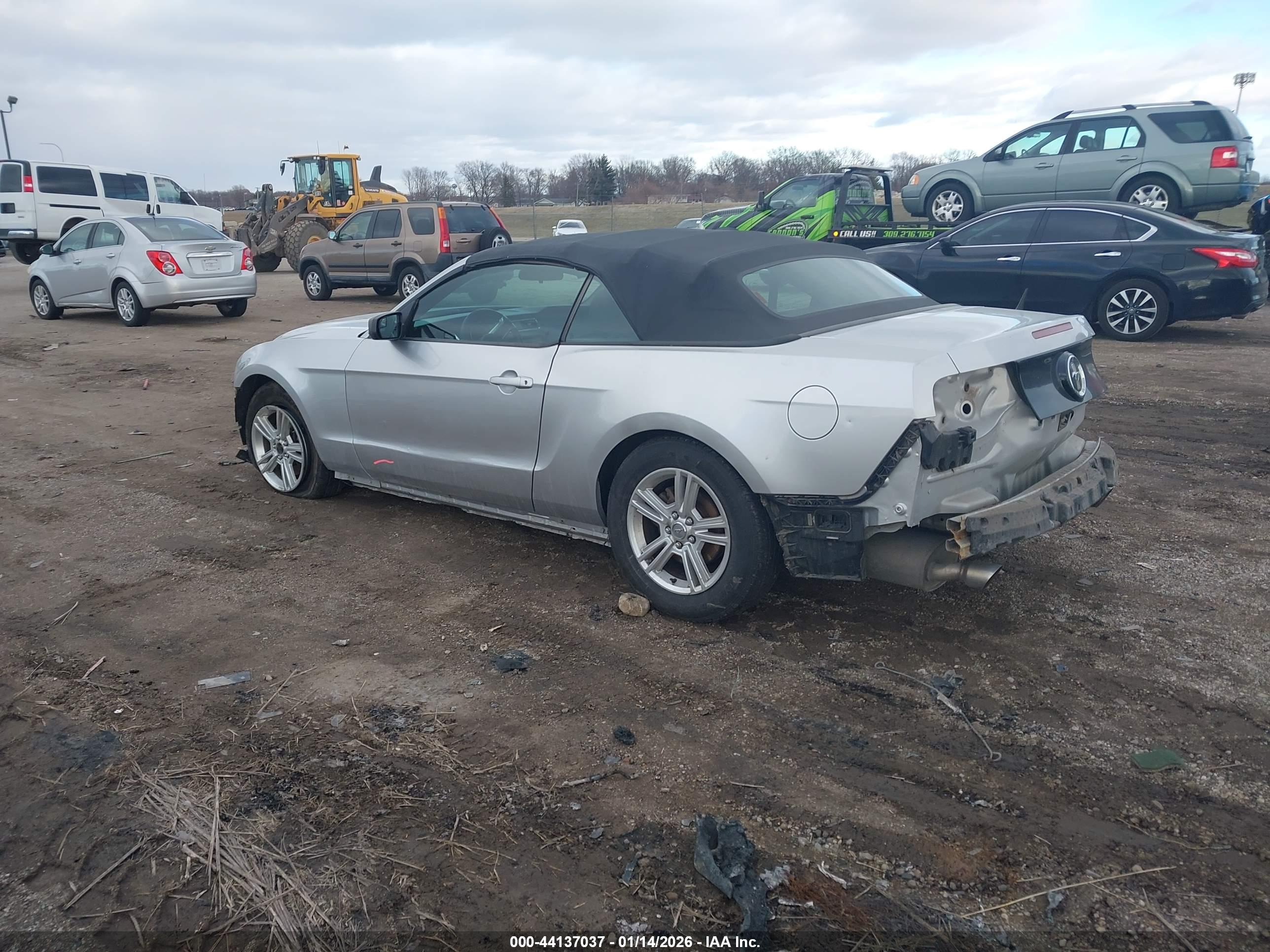 FORD MUSTANG image 3