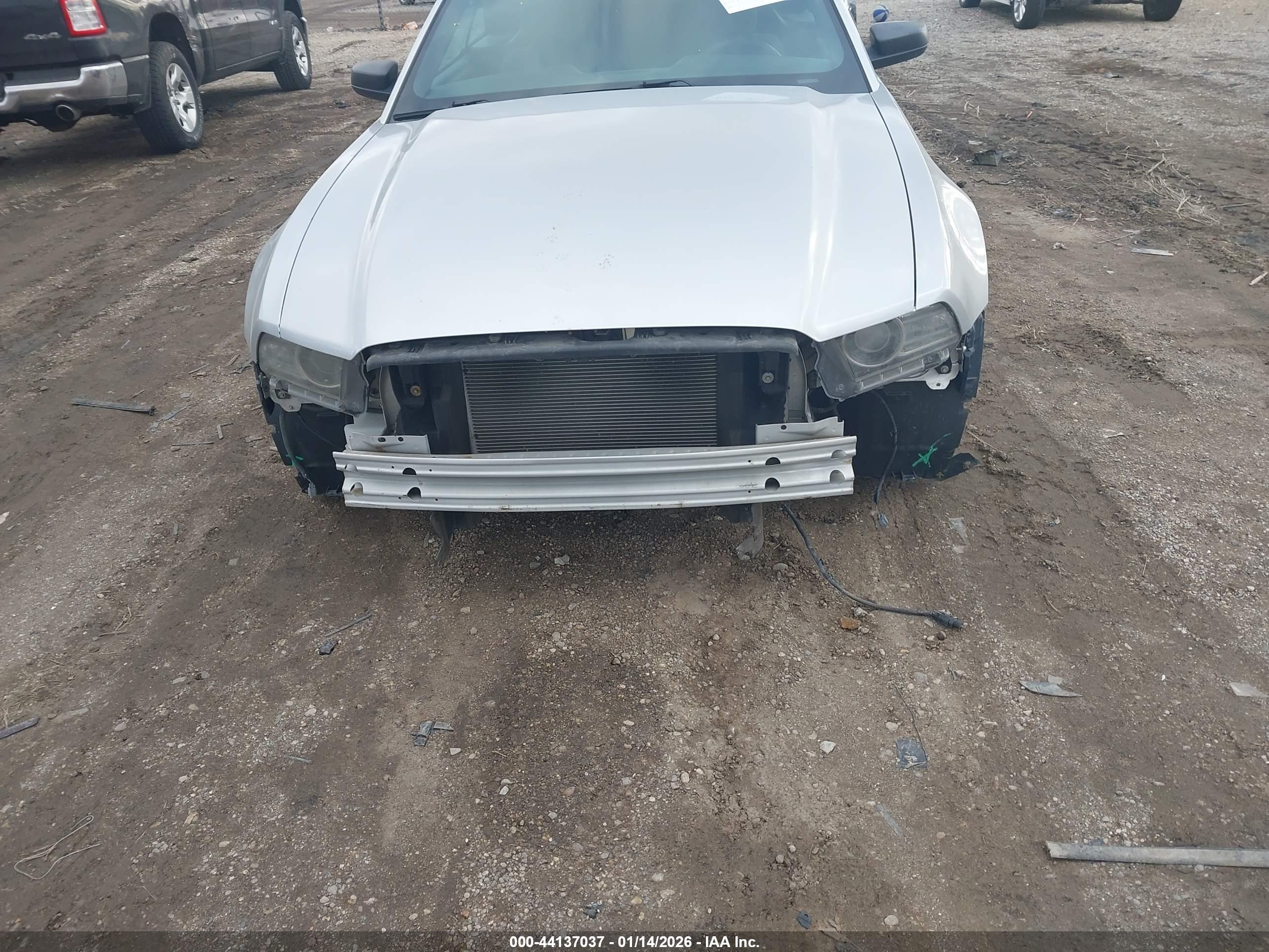FORD MUSTANG image 6