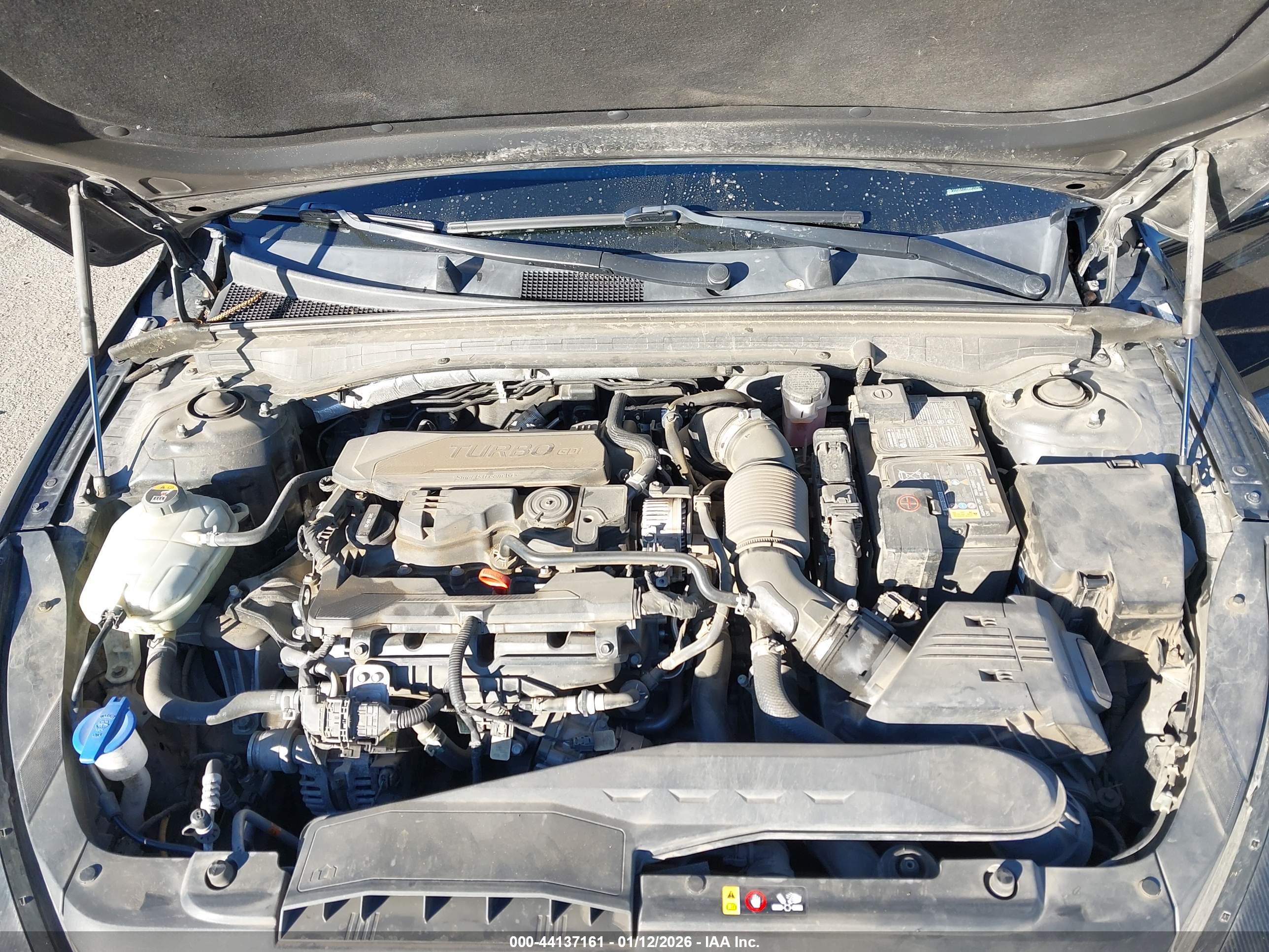 KIA K5 image 10