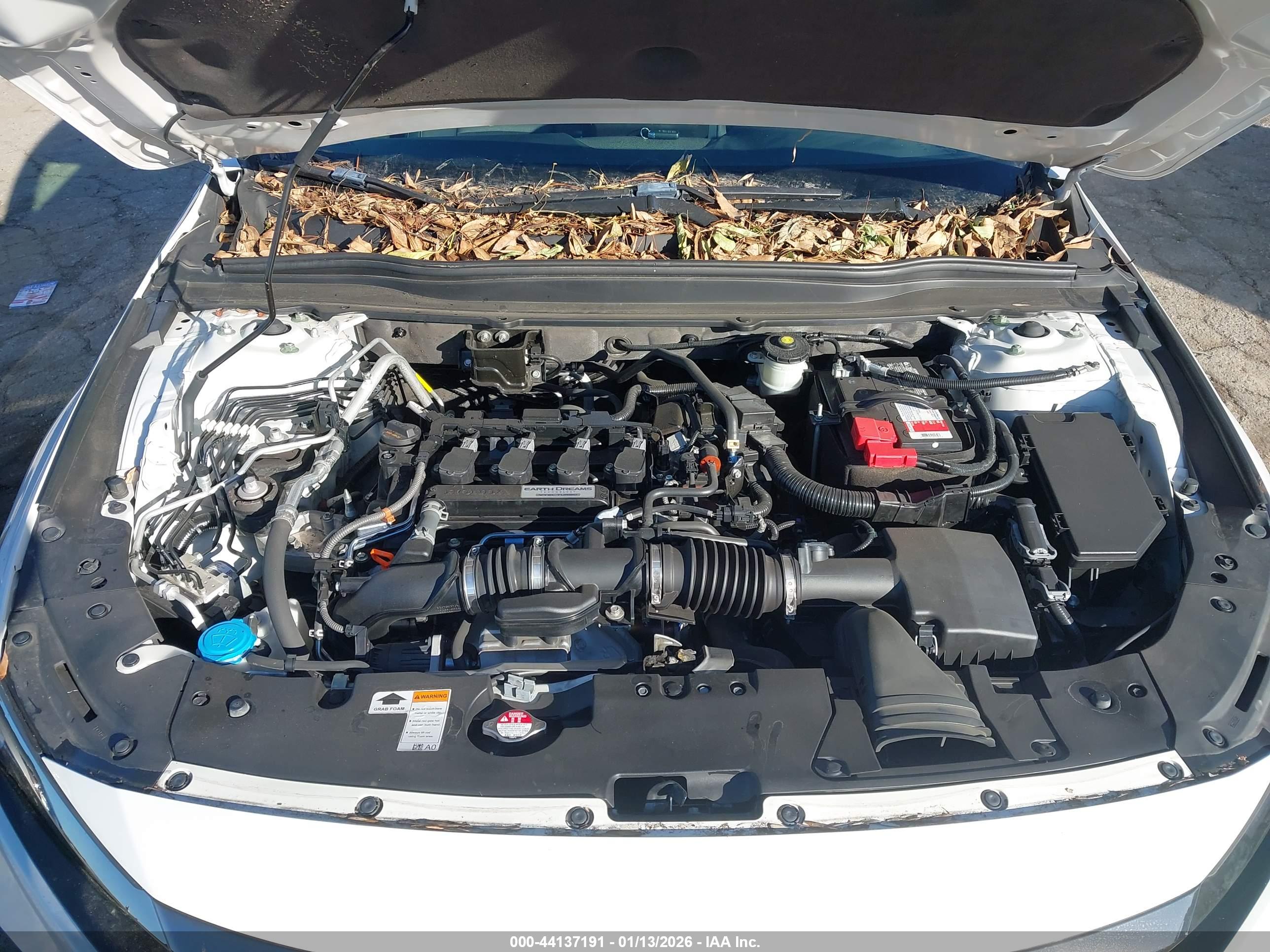 HONDA ACCORD image 10