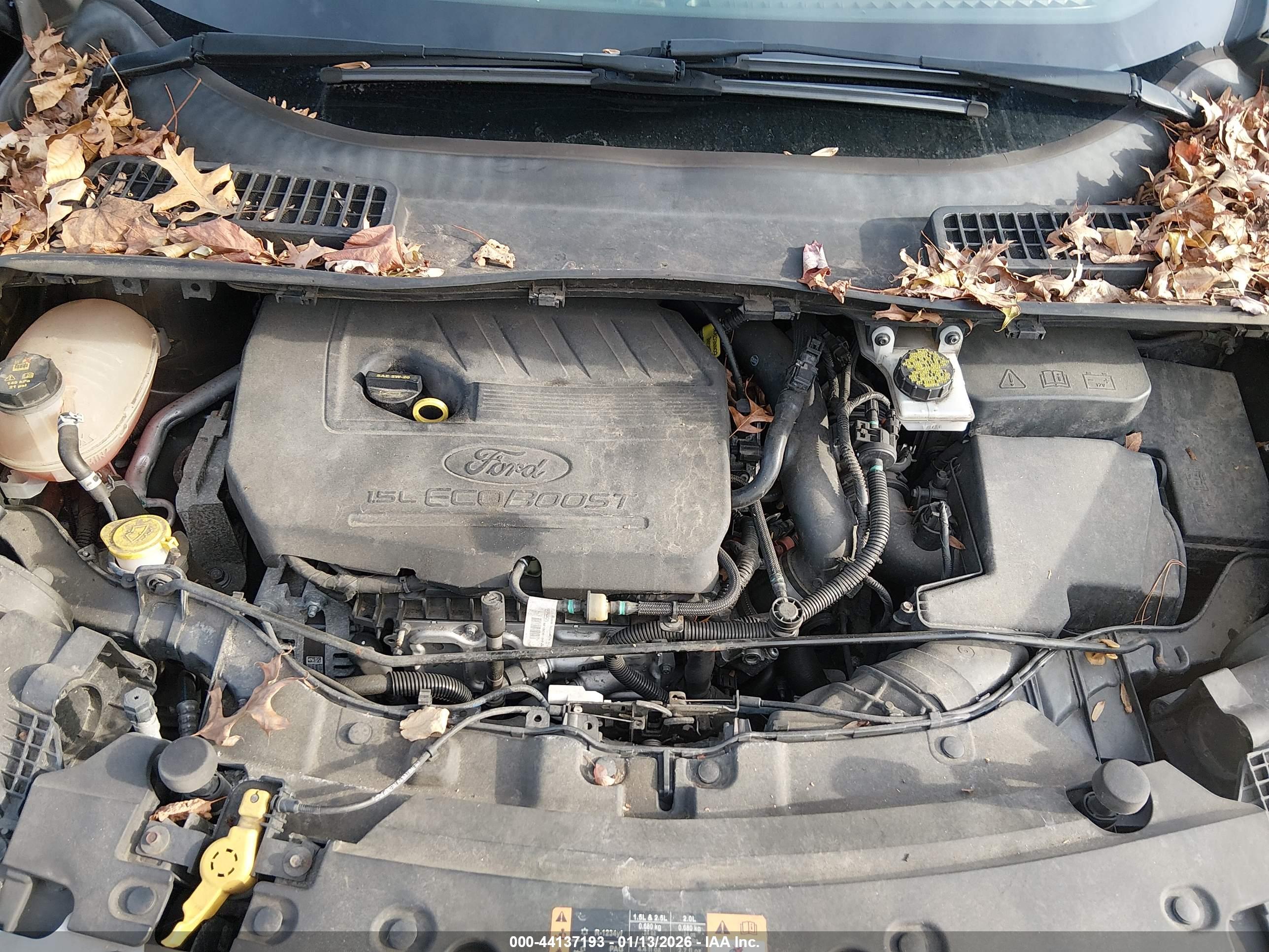FORD ESCAPE image 10