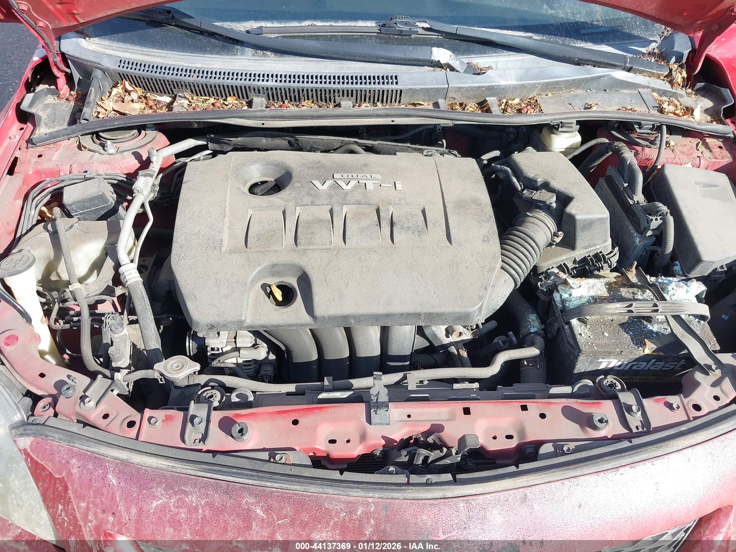TOYOTA COROLLA image 10