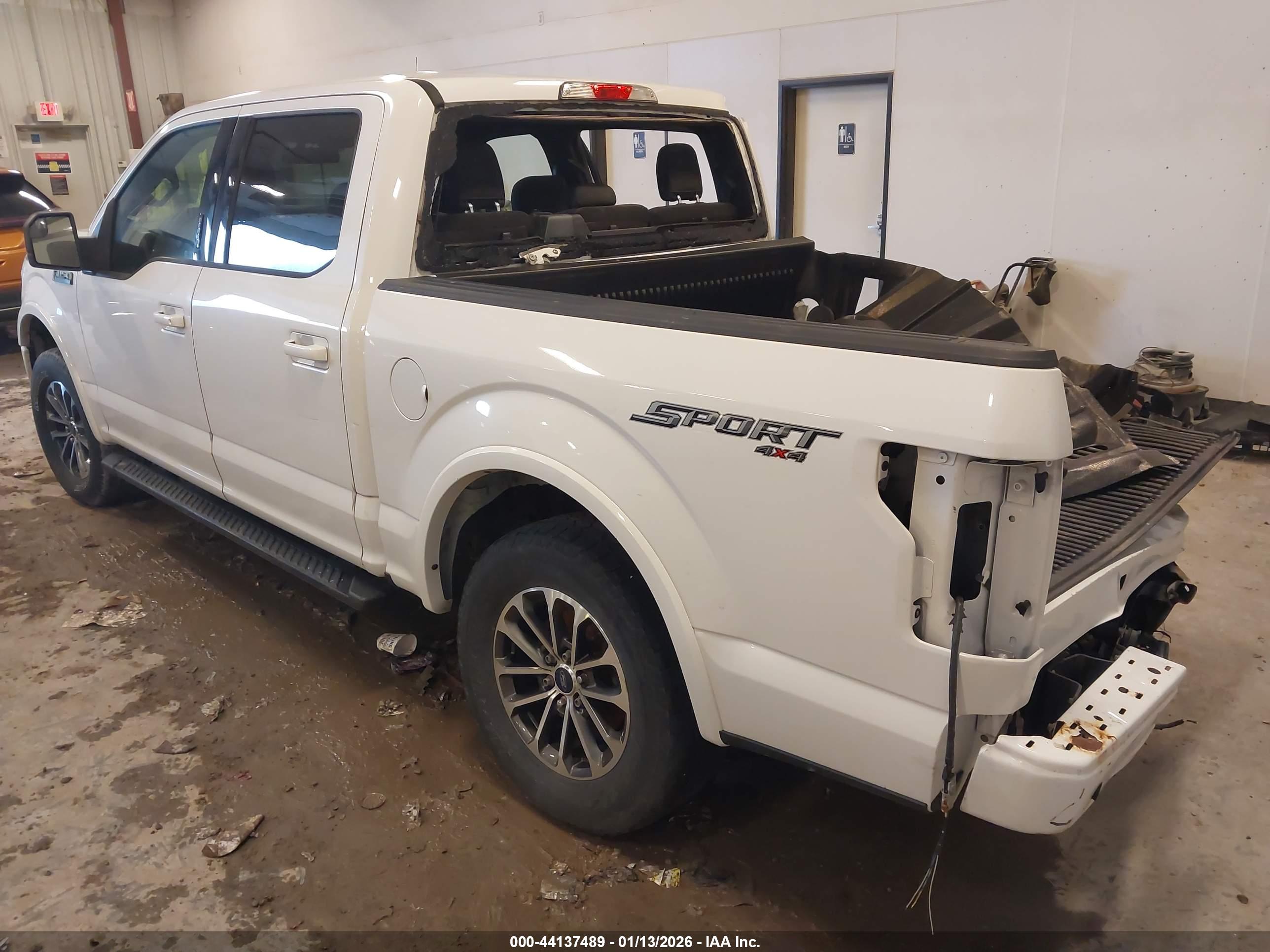 FORD F-150 image 3