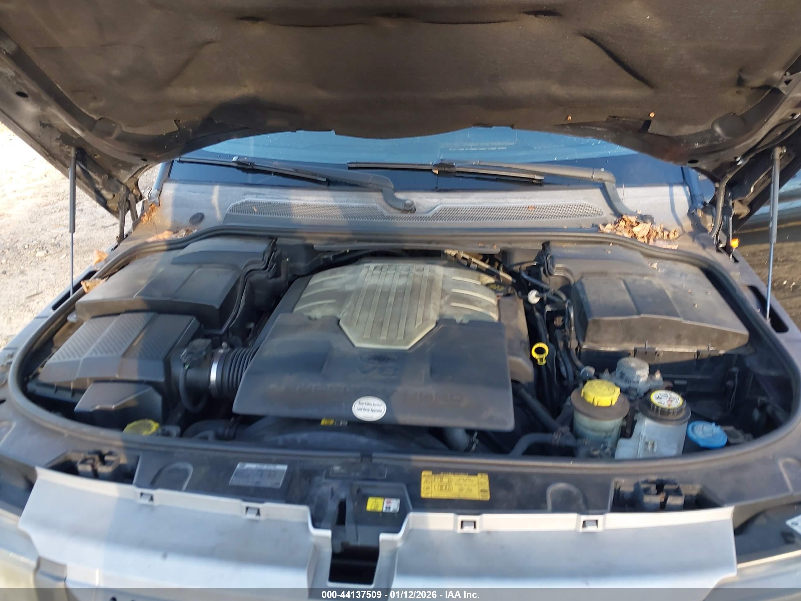 LAND ROVER image 10
