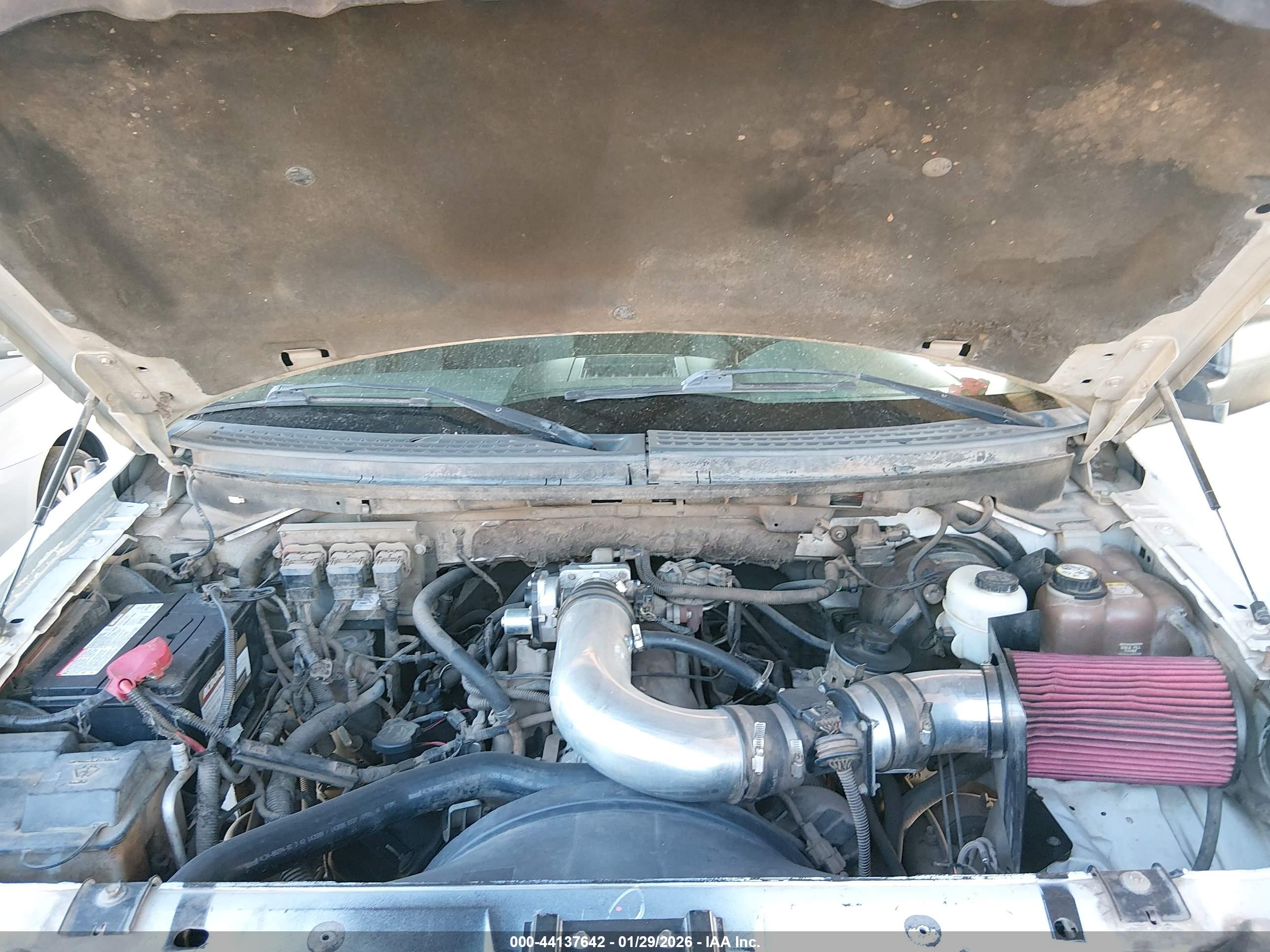 FORD F-150 image 10