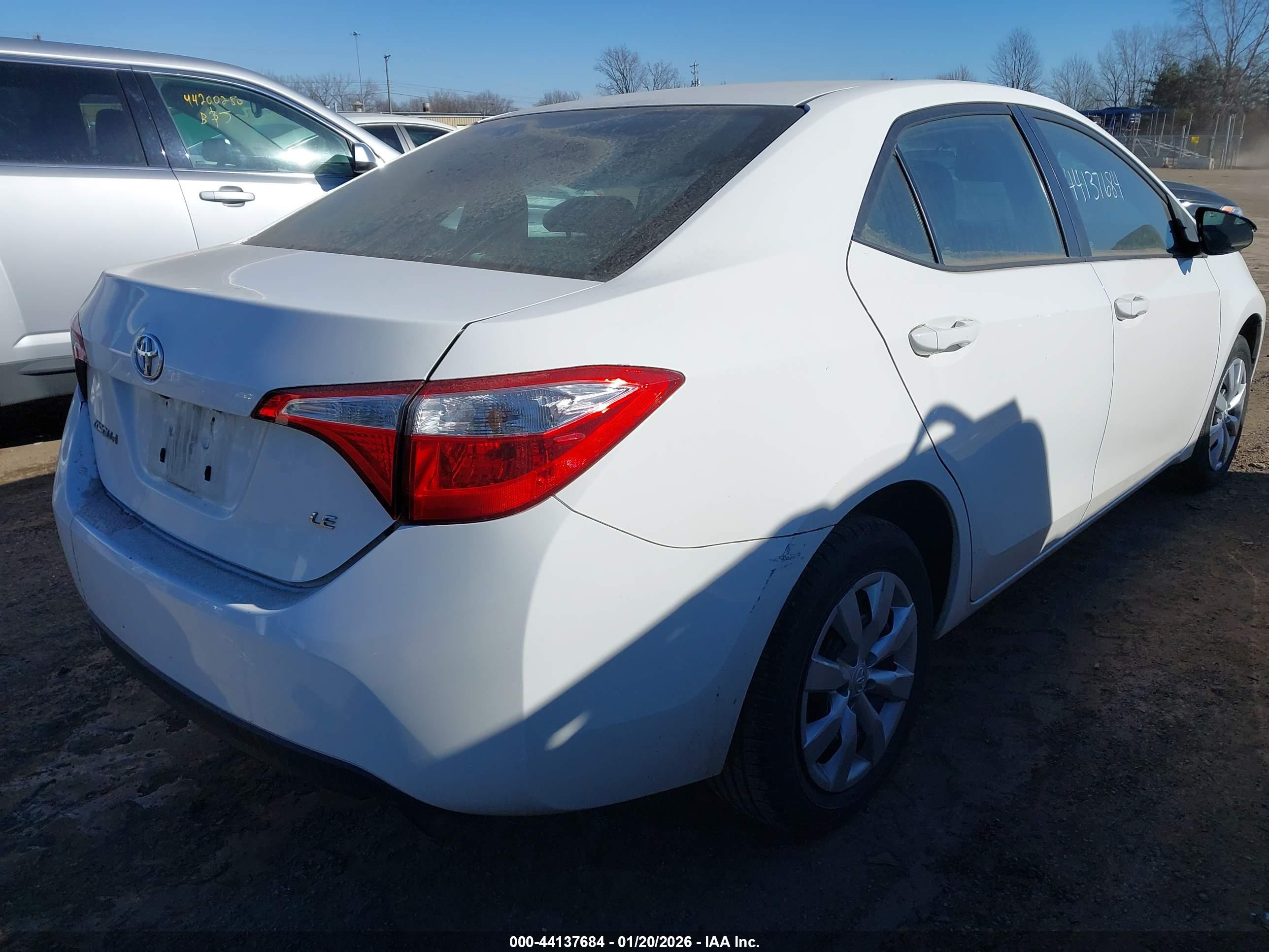 TOYOTA COROLLA image 4