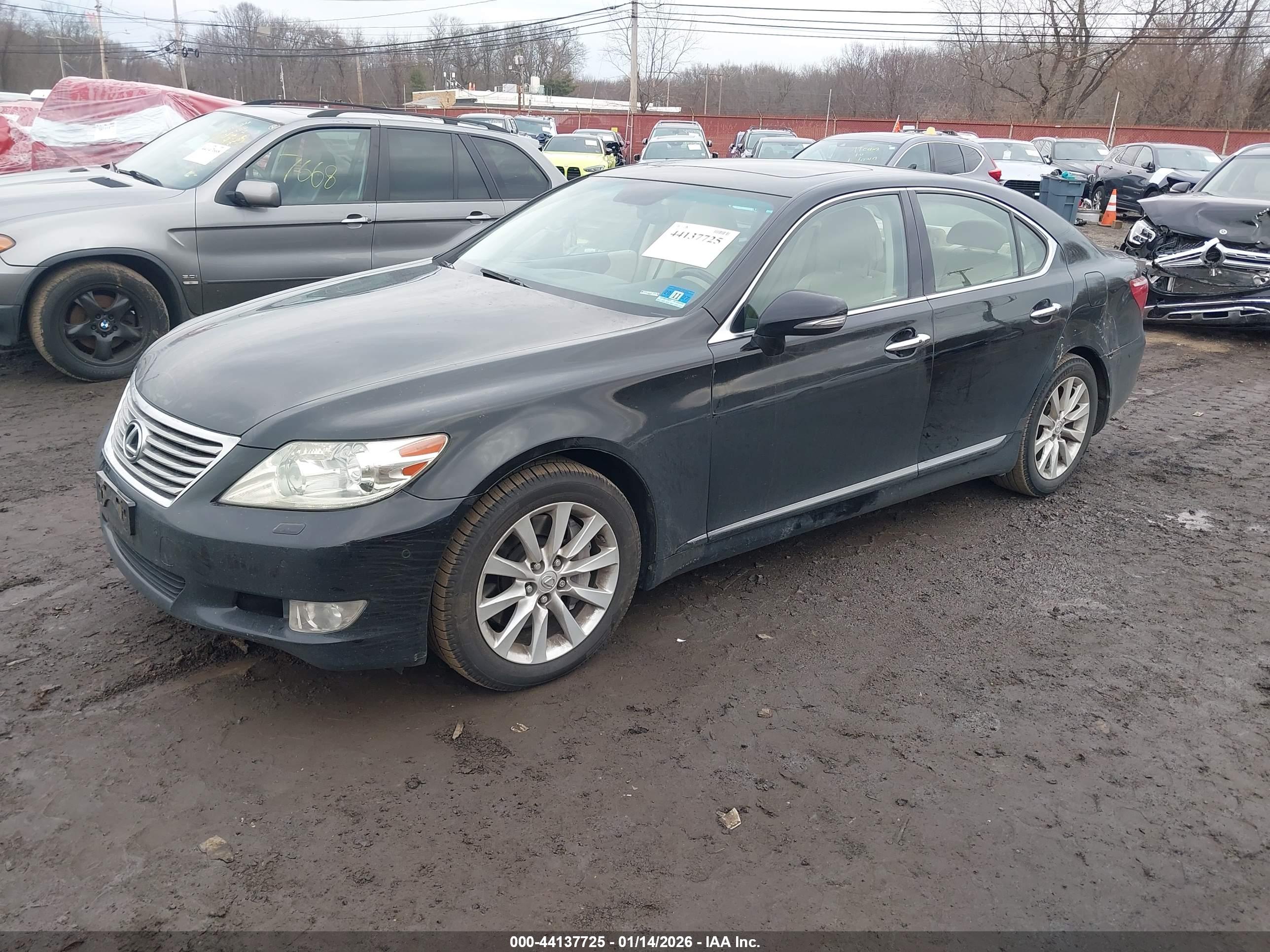 LEXUS LS image 2