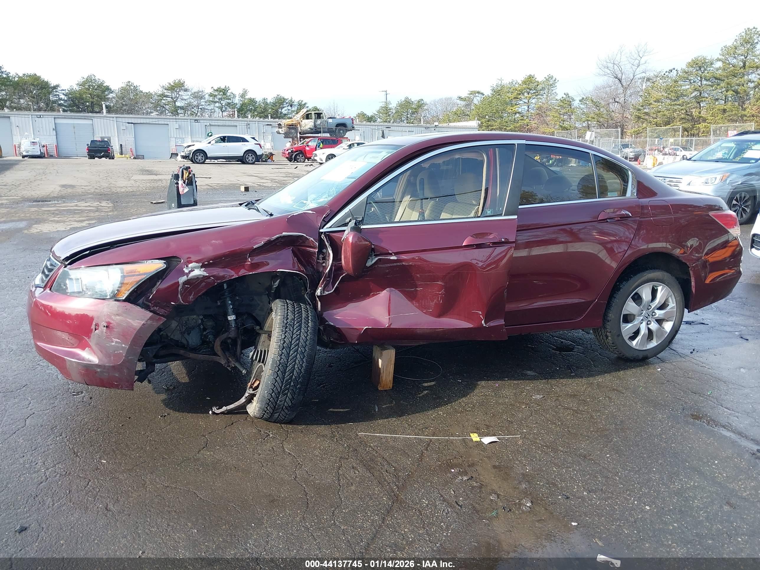 HONDA ACCORD image 6