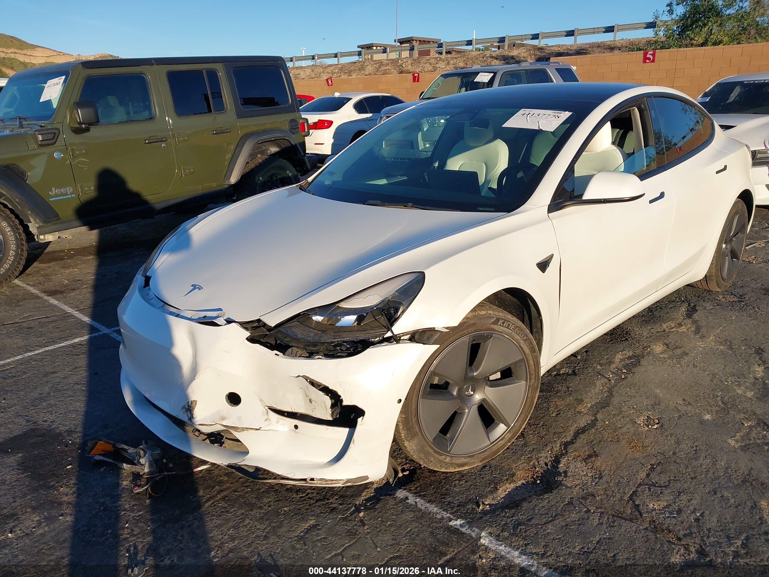 TESLA MODEL image 6