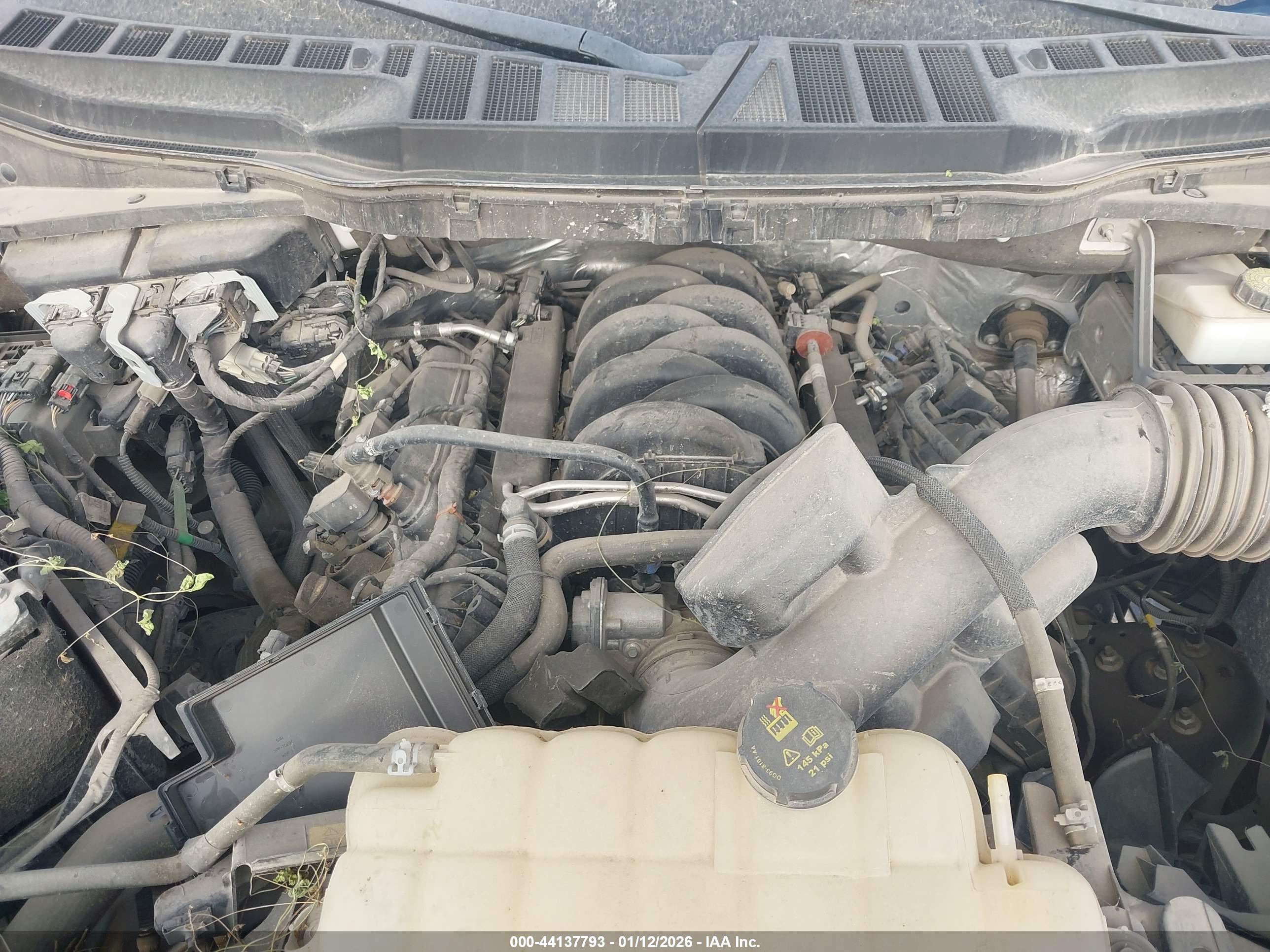 FORD F-150 image 10