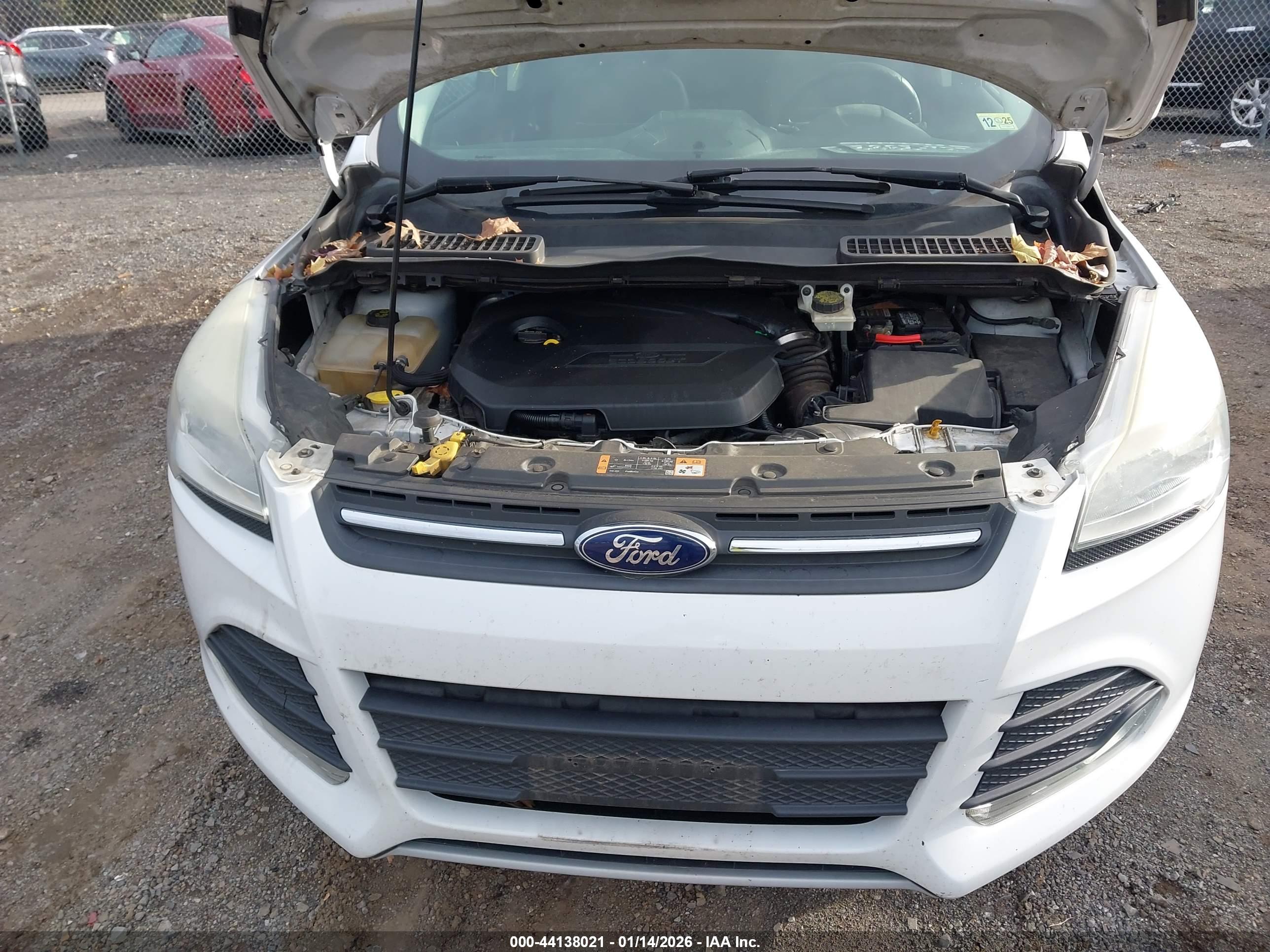 FORD ESCAPE image 6