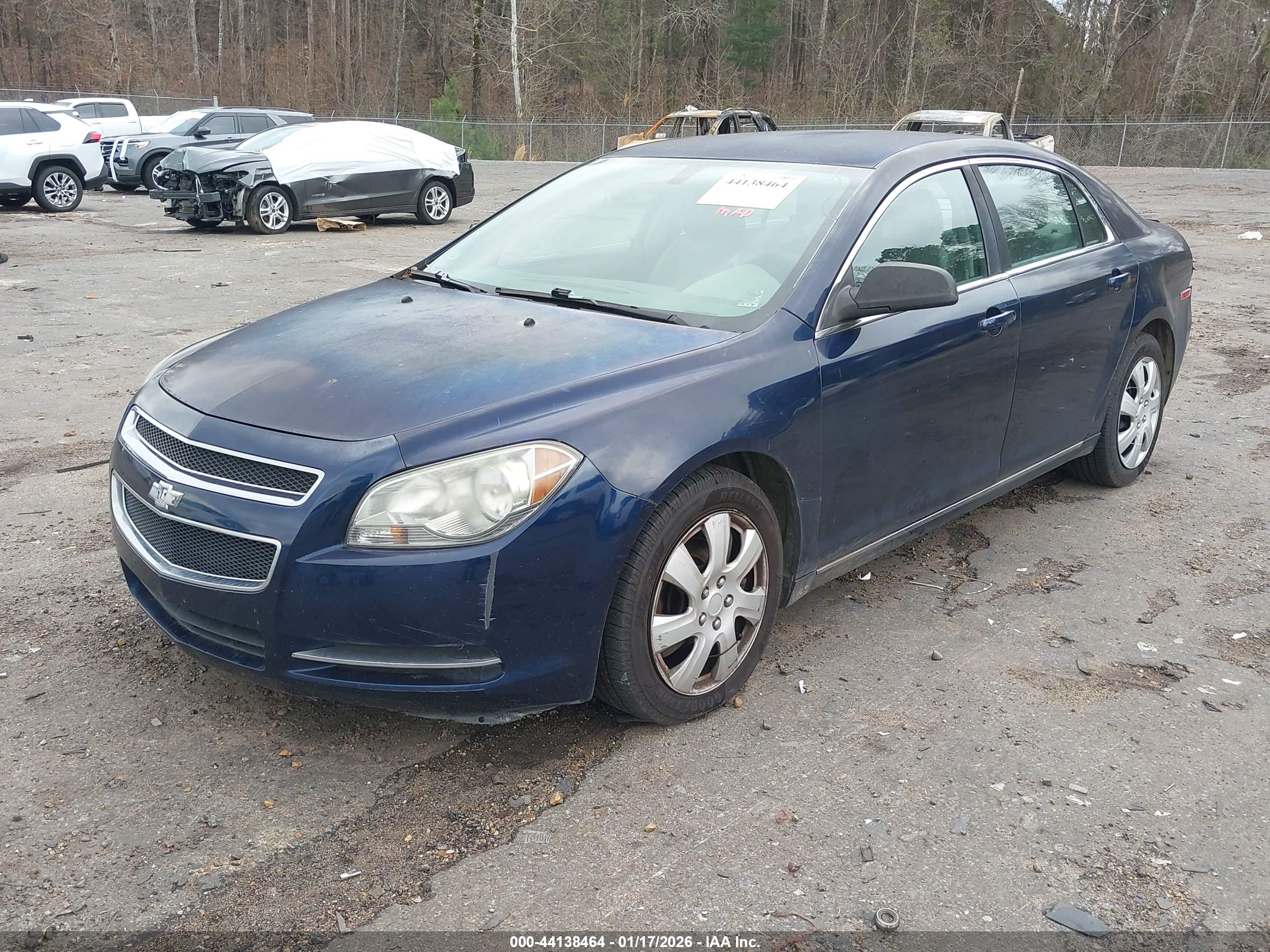 CHEVROLET MALIBU image 2