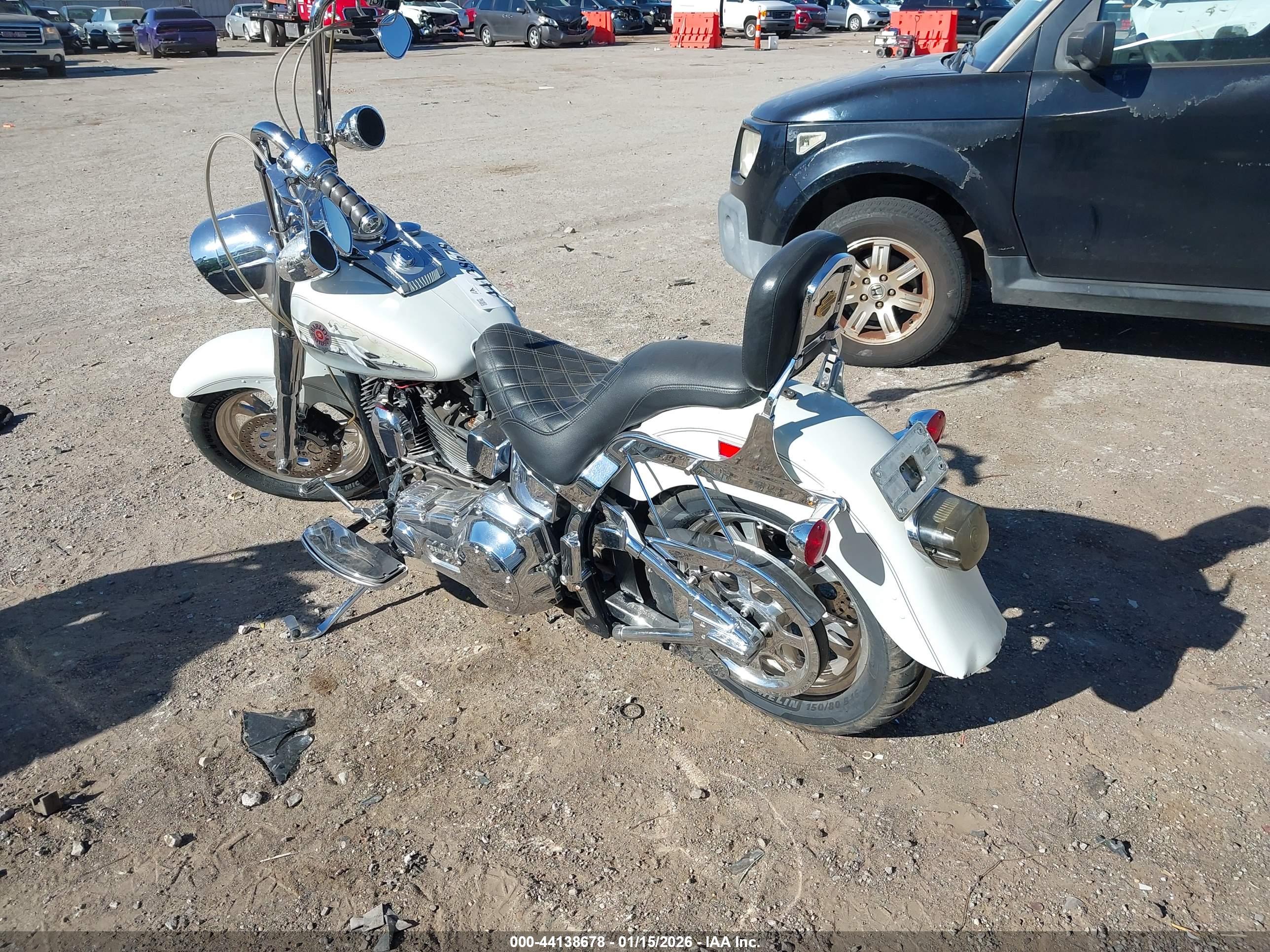 HARLEY-DAVIDSON FLSTF image 3
