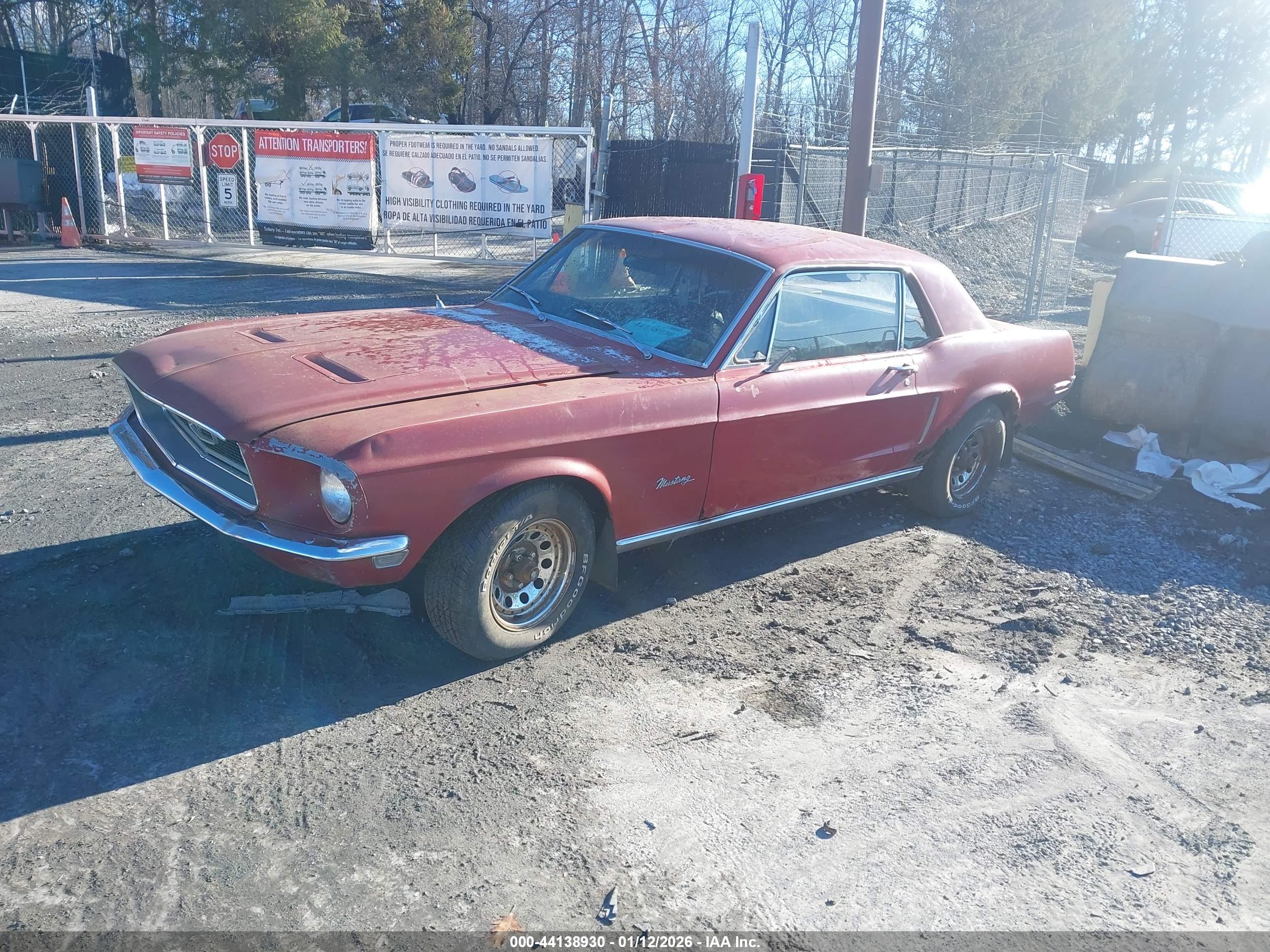 FORD MUSTANG image 2