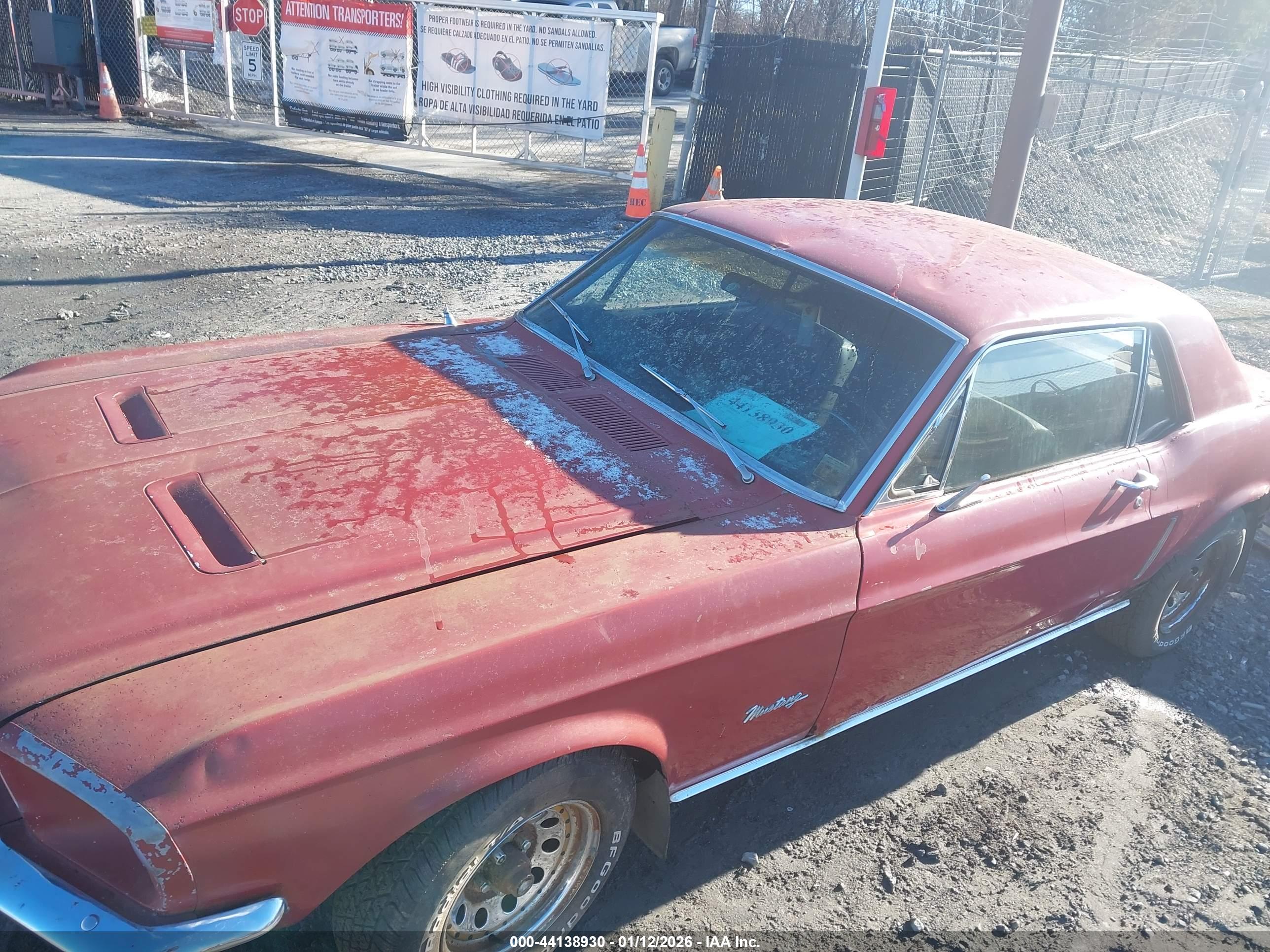 FORD MUSTANG image 6
