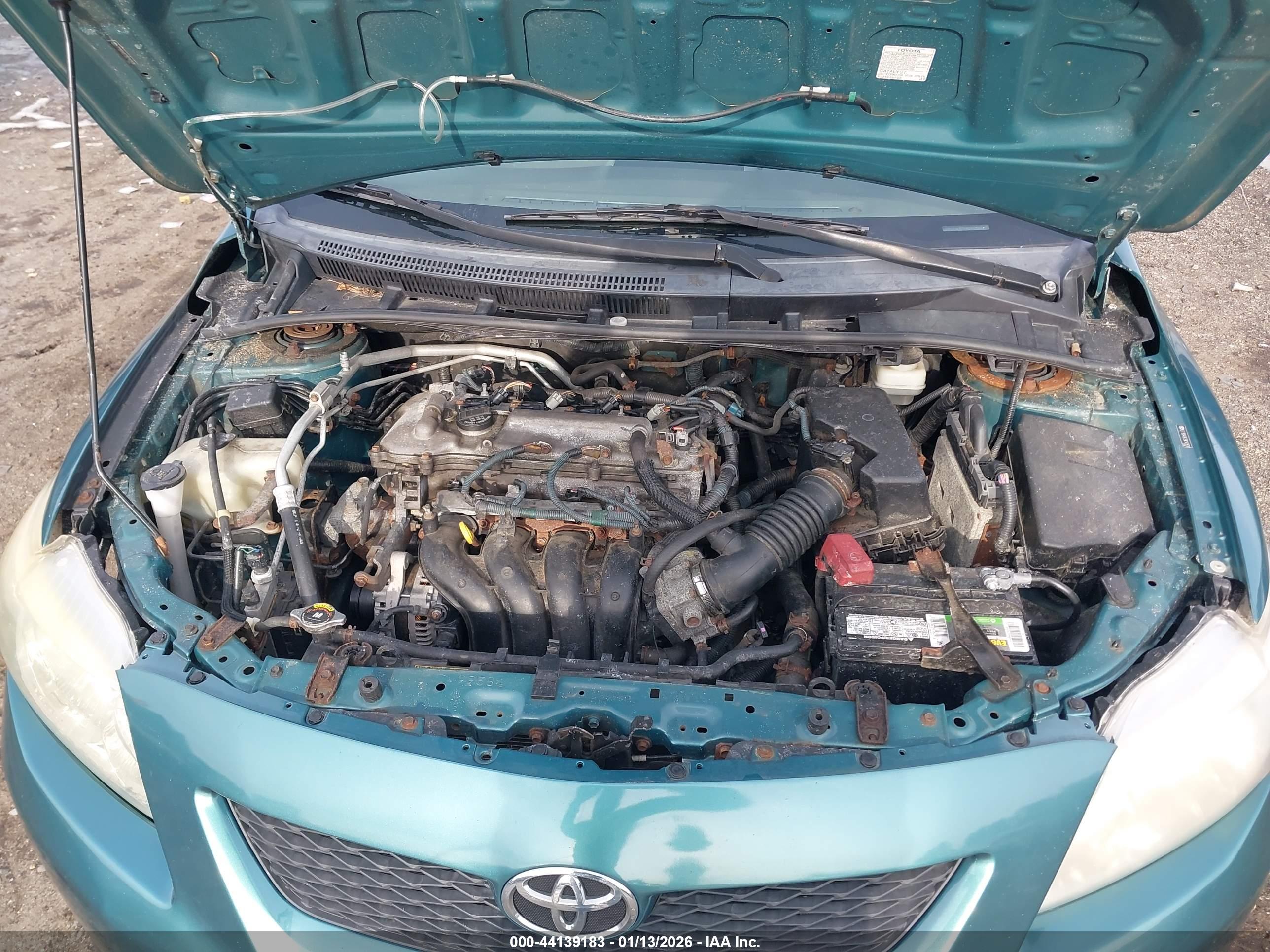 TOYOTA COROLLA image 10