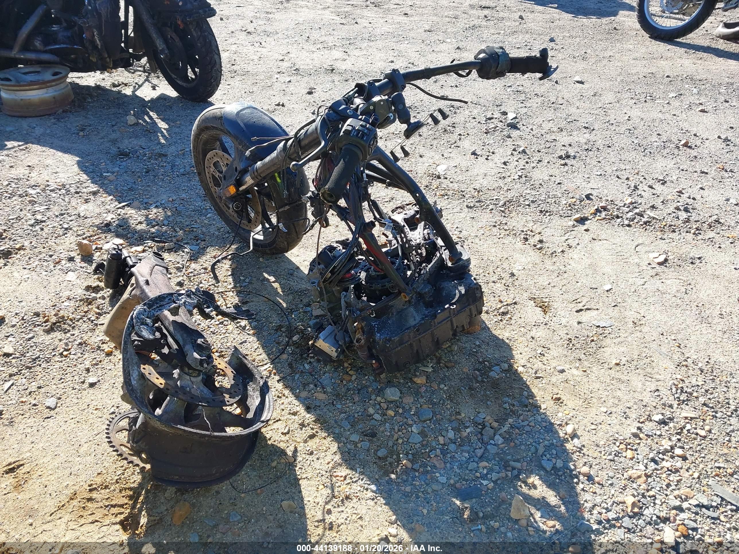 HARLEY-DAVIDSON RA1250 image 3
