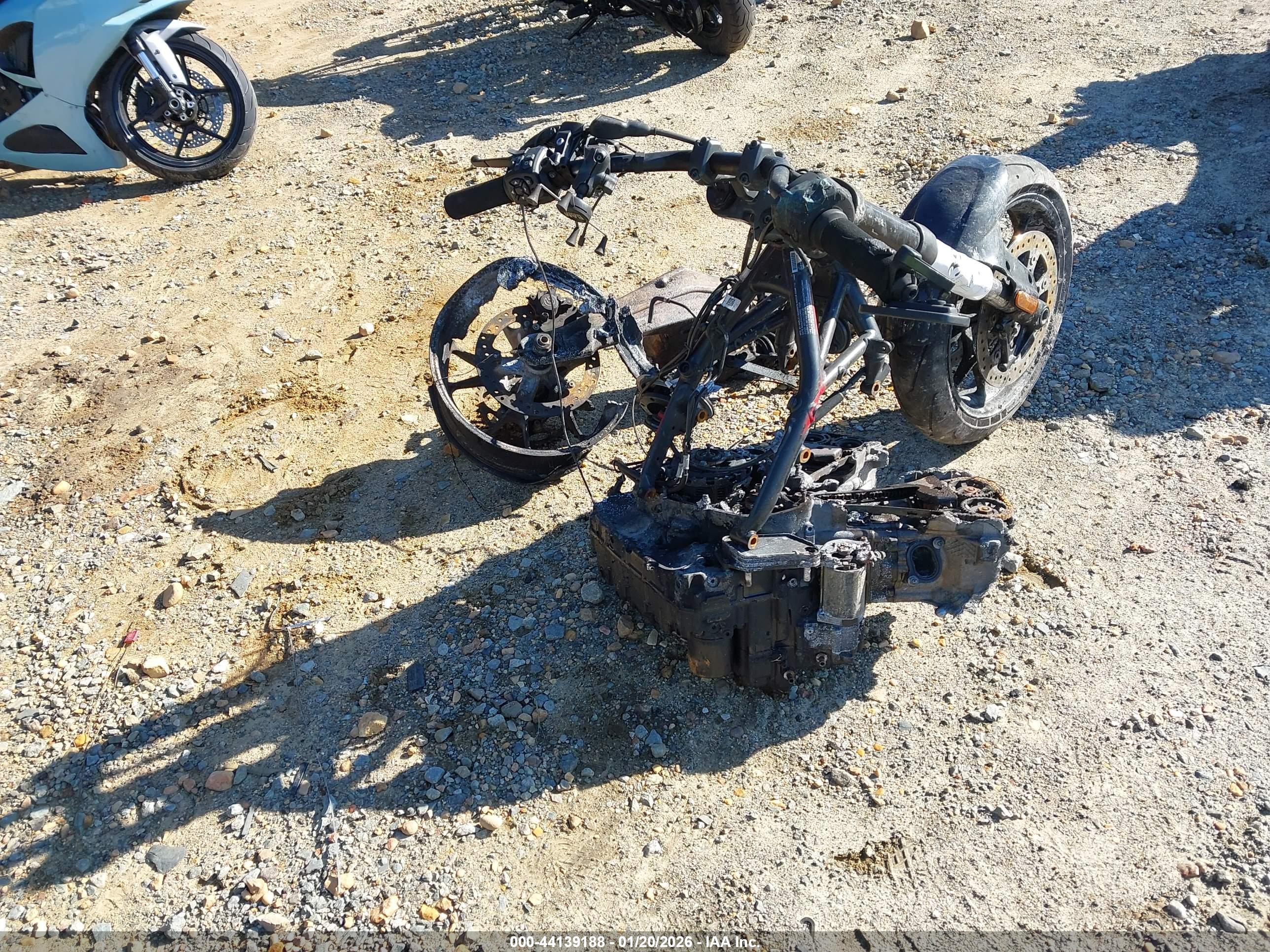 HARLEY-DAVIDSON RA1250 image 4