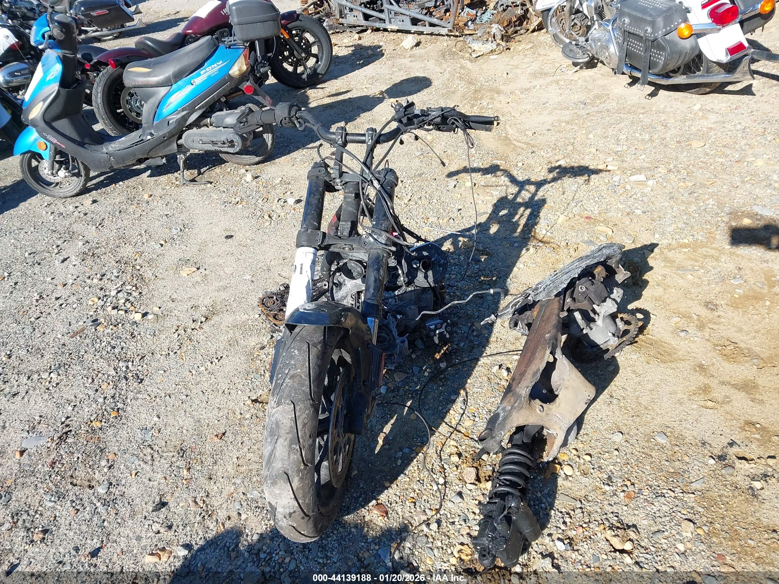 HARLEY-DAVIDSON RA1250 image 5