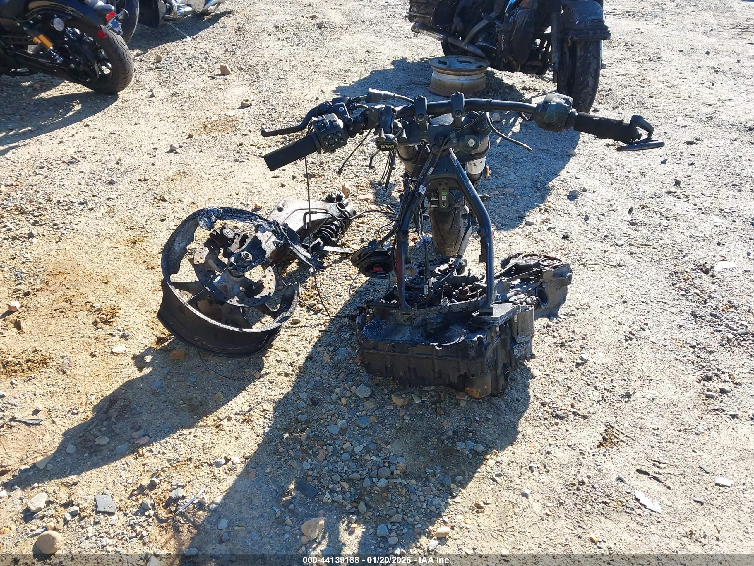 HARLEY-DAVIDSON RA1250 image 6