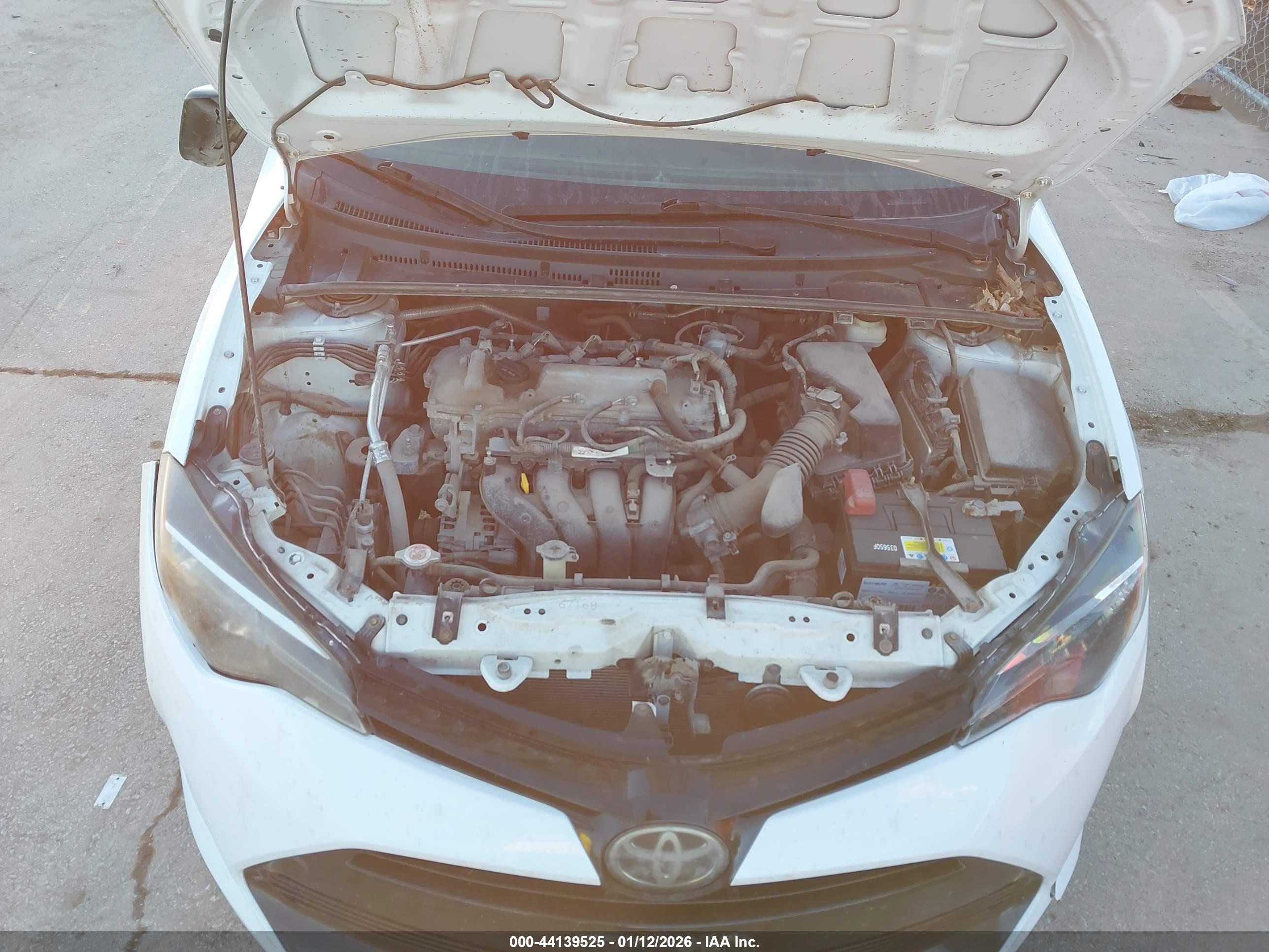 TOYOTA COROLLA image 10
