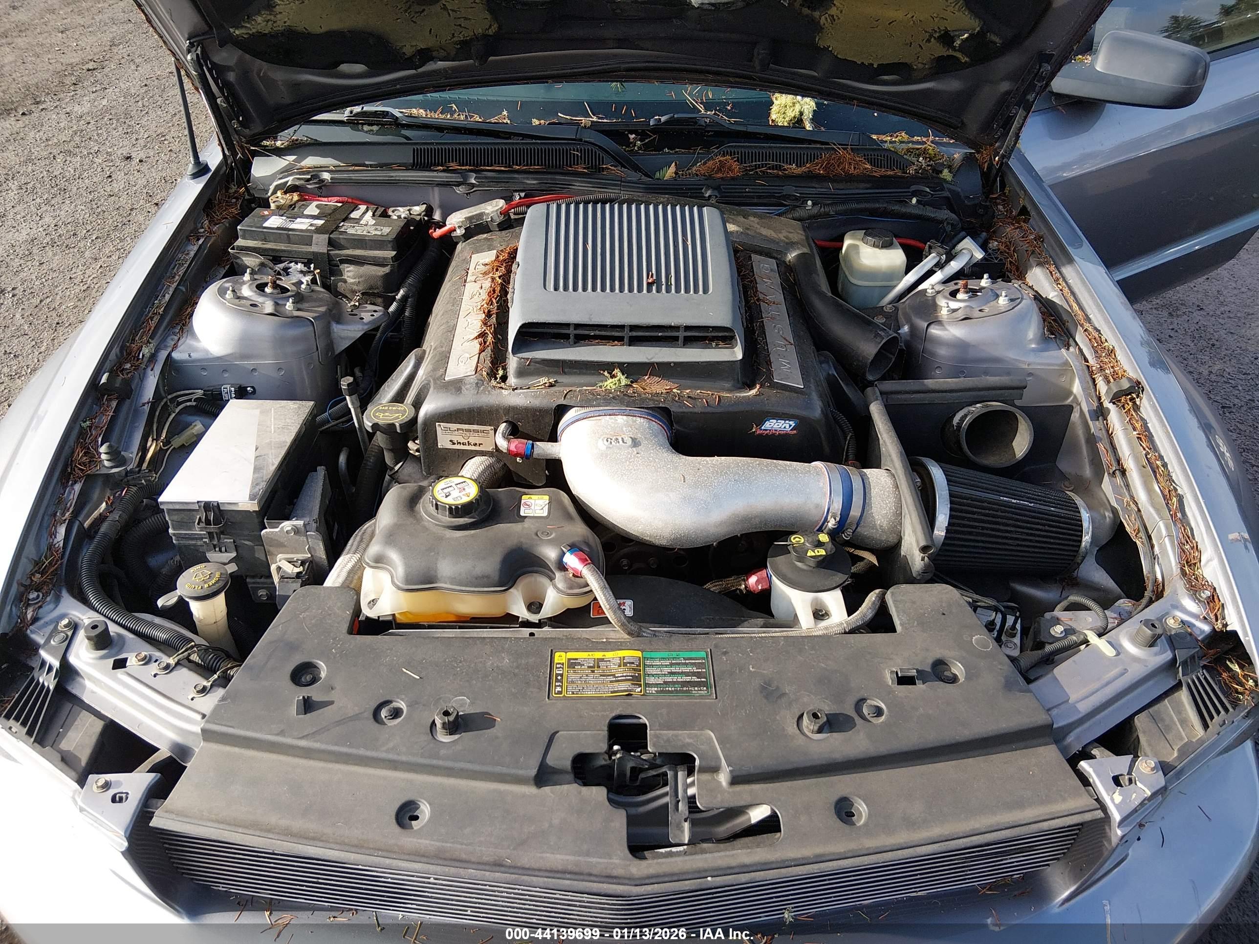 FORD MUSTANG image 10