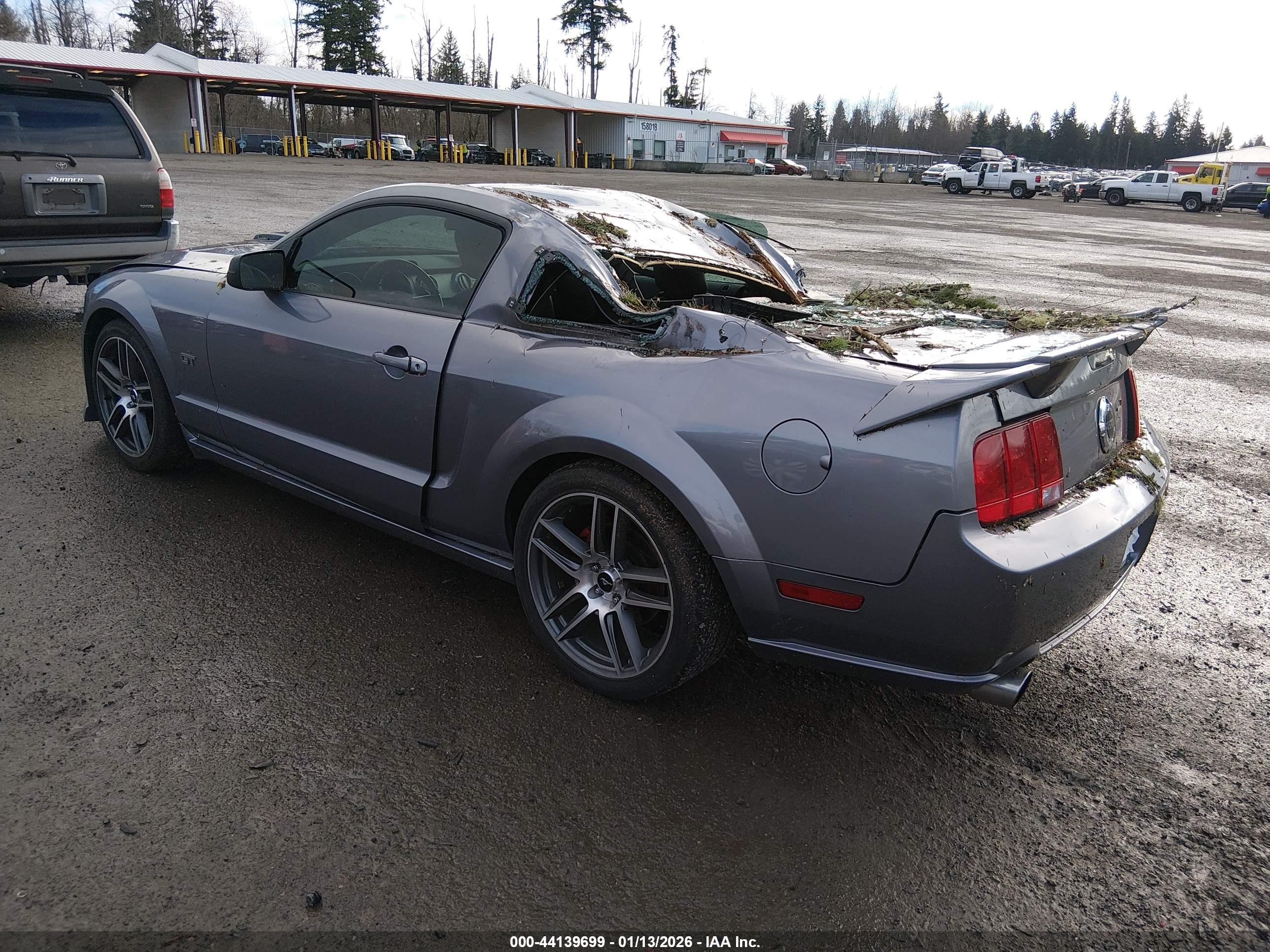 FORD MUSTANG image 3