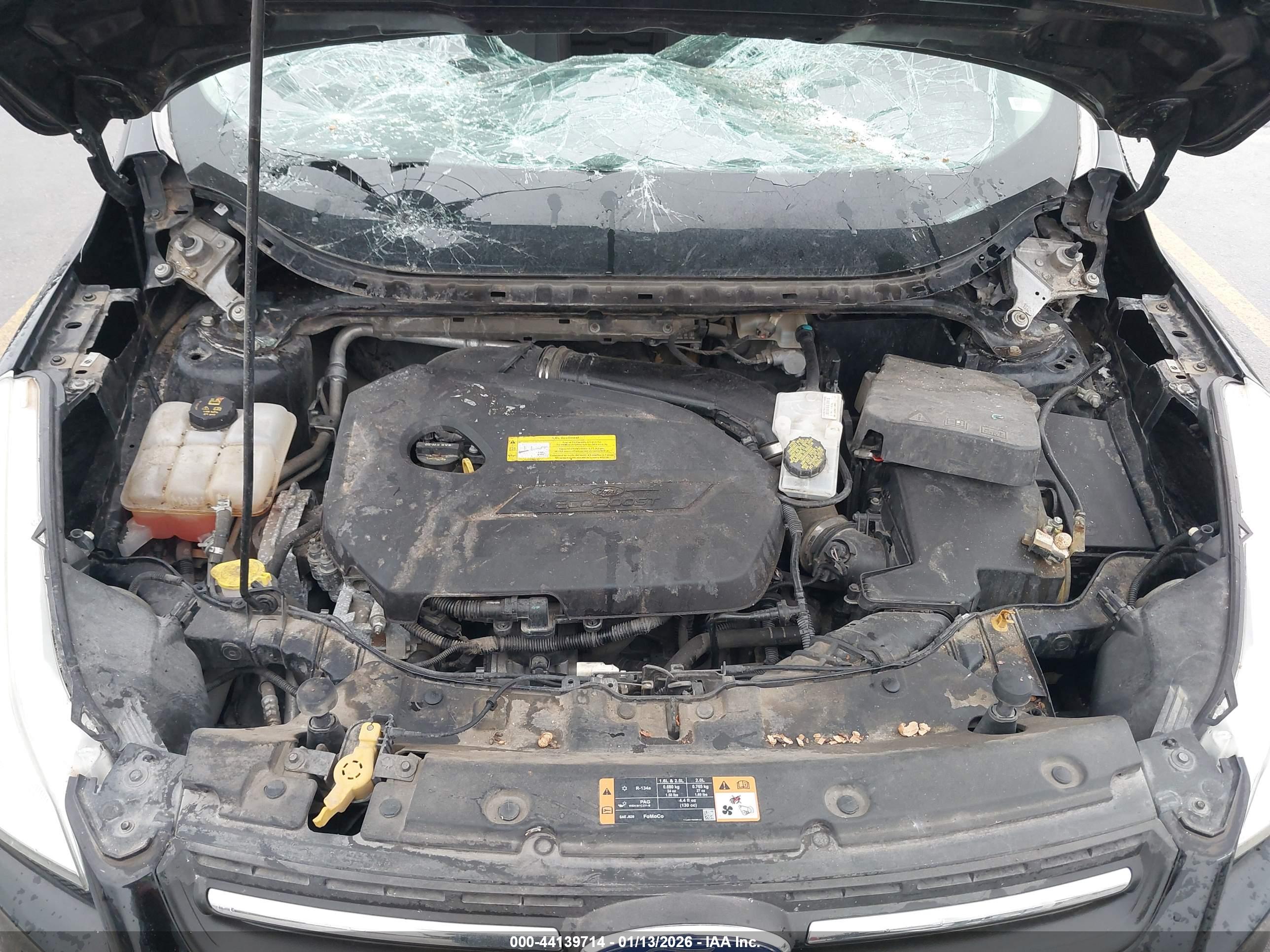 FORD ESCAPE image 10