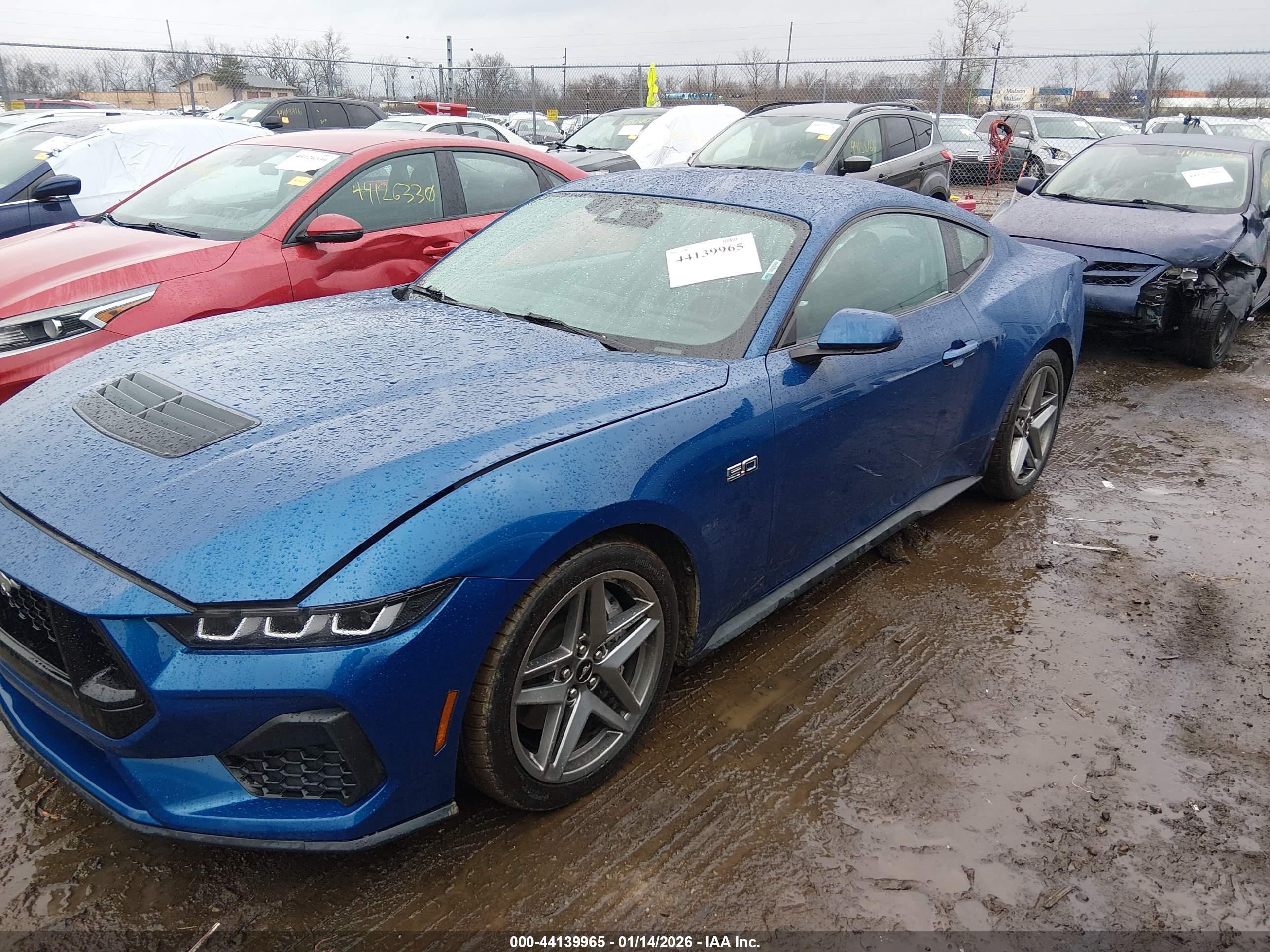 FORD MUSTANG image 2