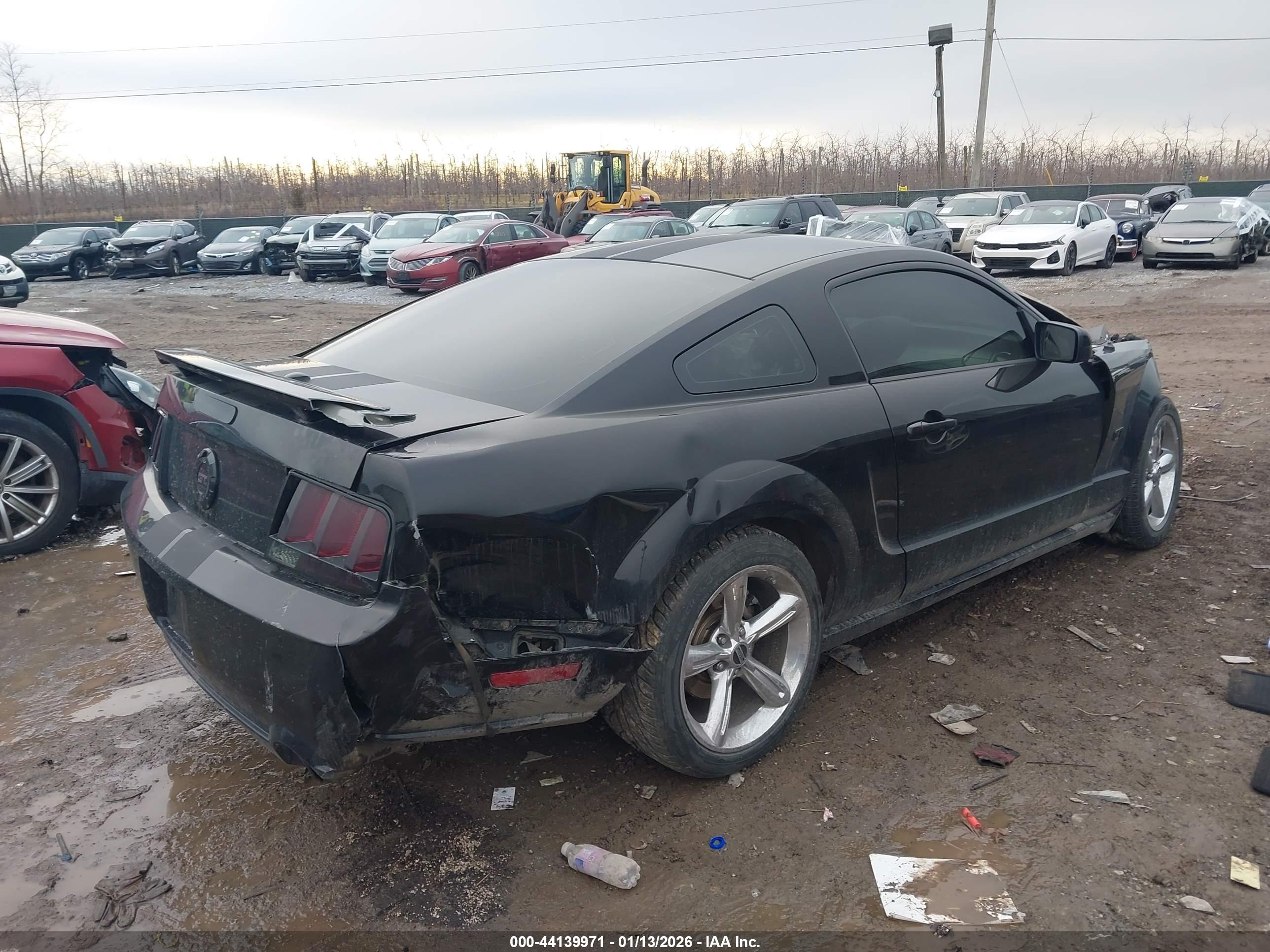 FORD MUSTANG image 4