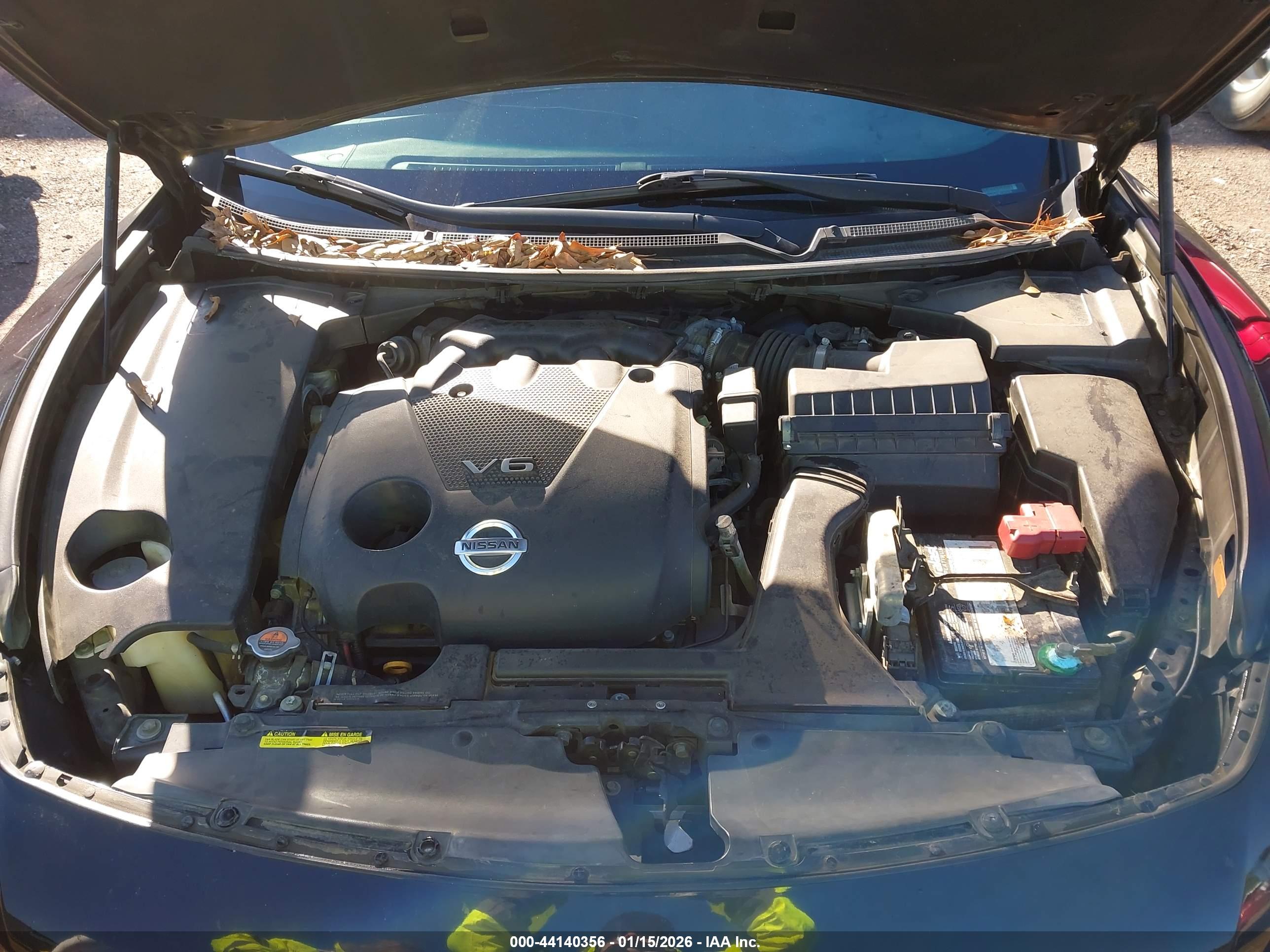 NISSAN MAXIMA image 10