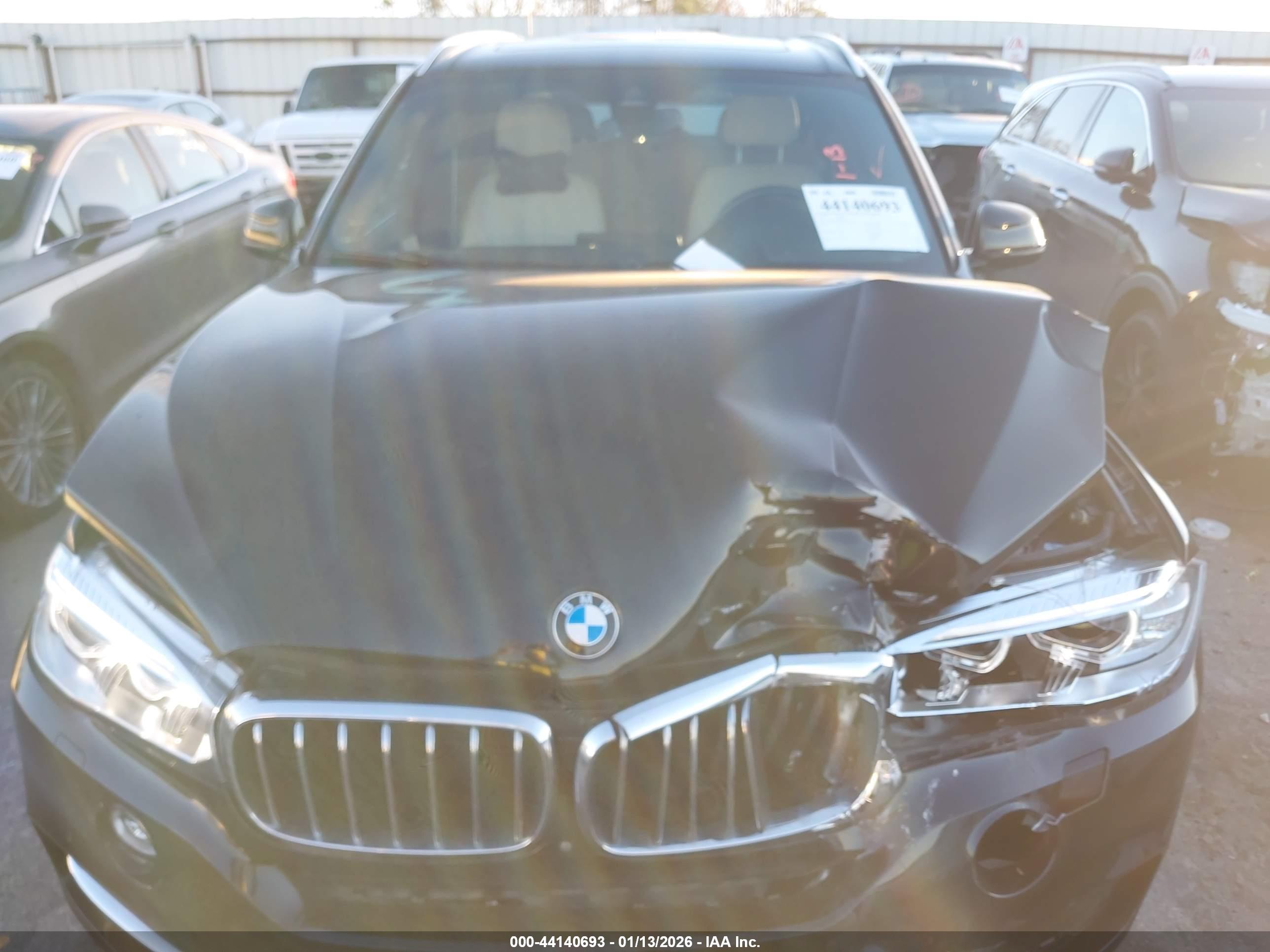 BMW X5 image 10