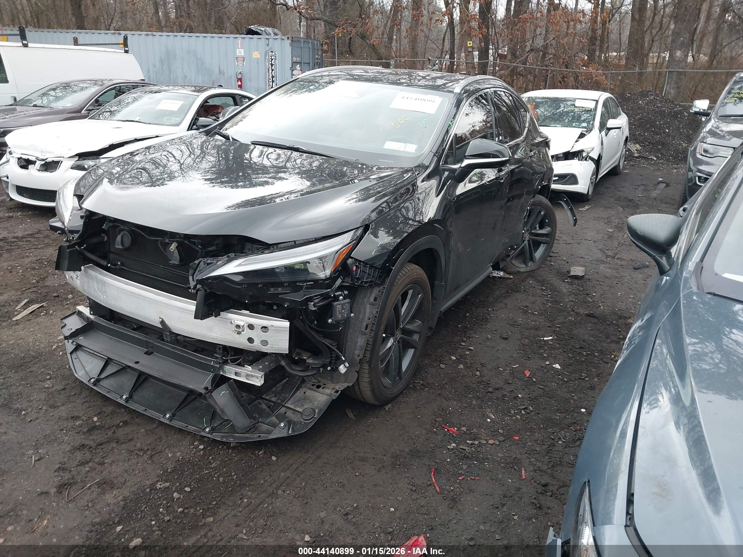 LEXUS NX image 2