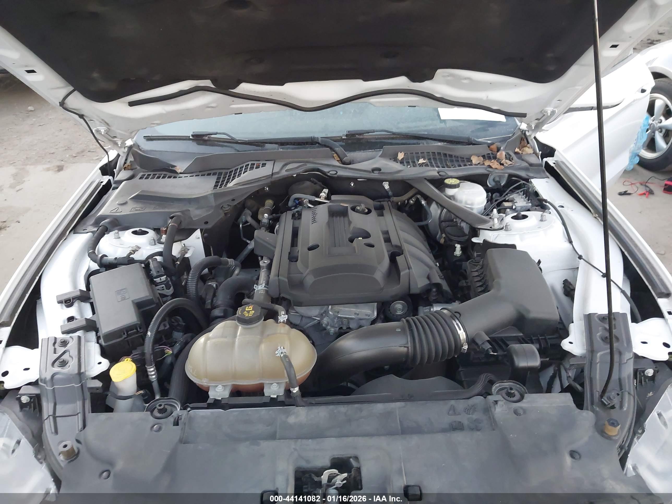 FORD MUSTANG image 10