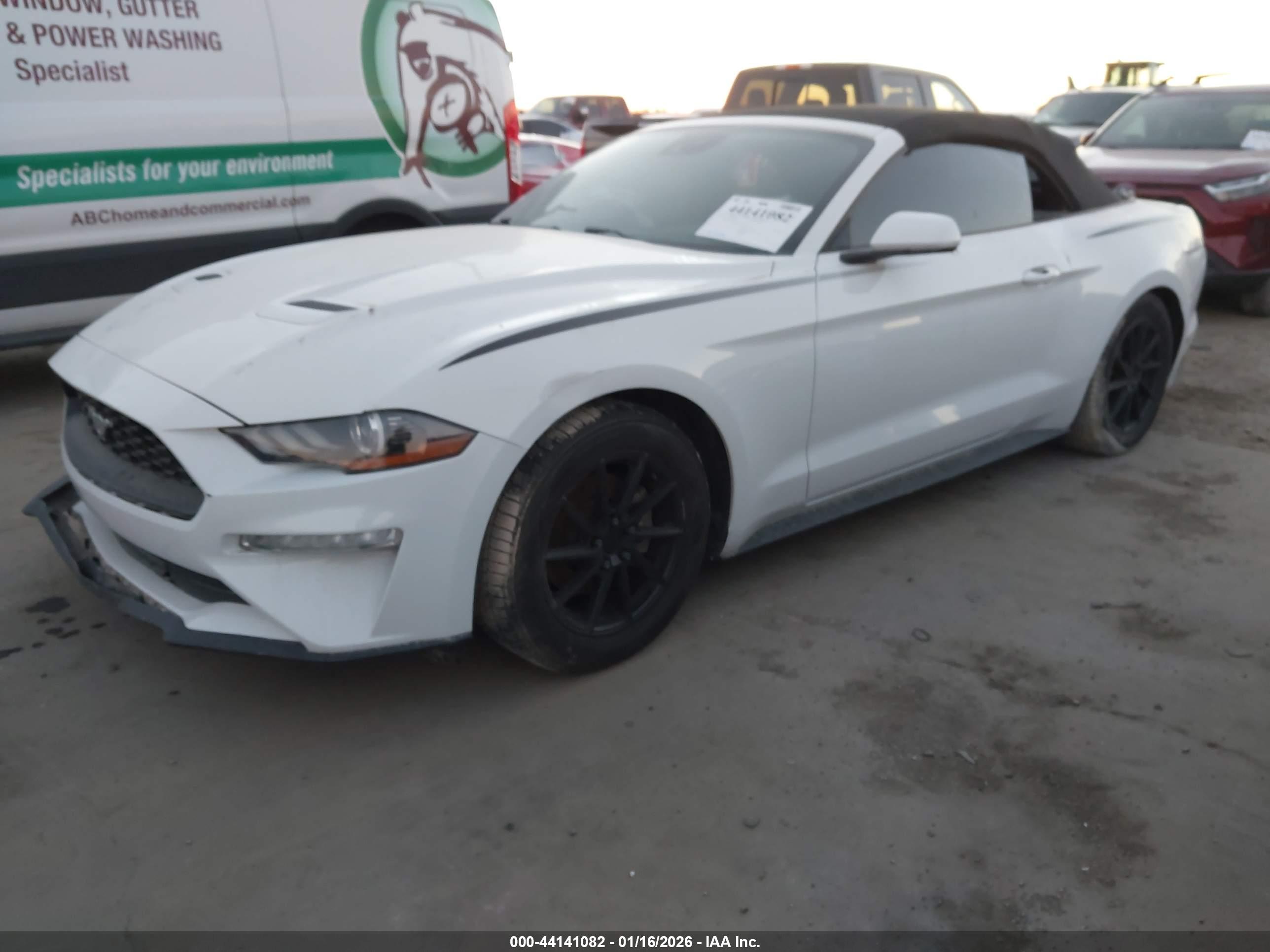 FORD MUSTANG image 2