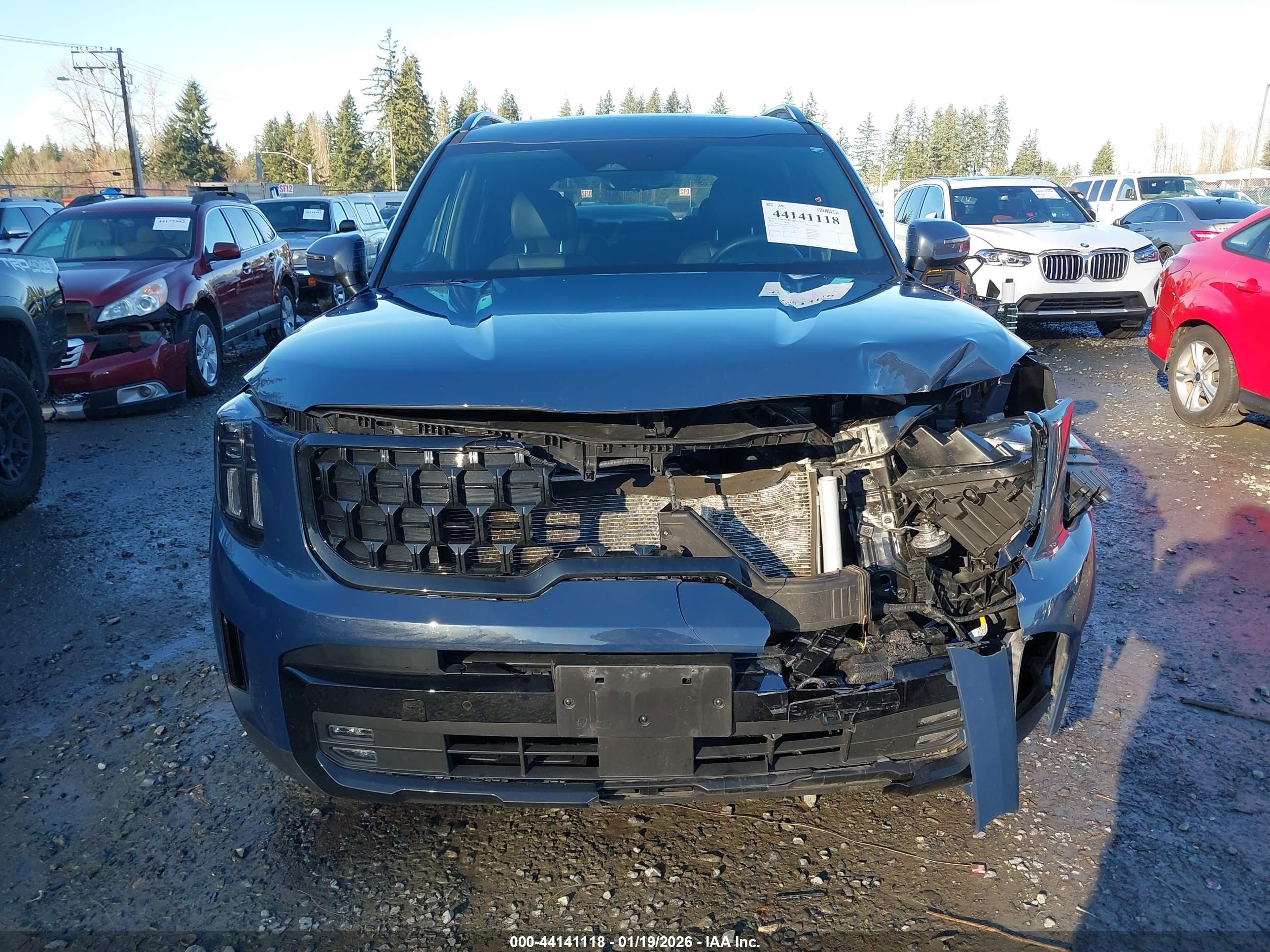 KIA TELLURIDE image 6