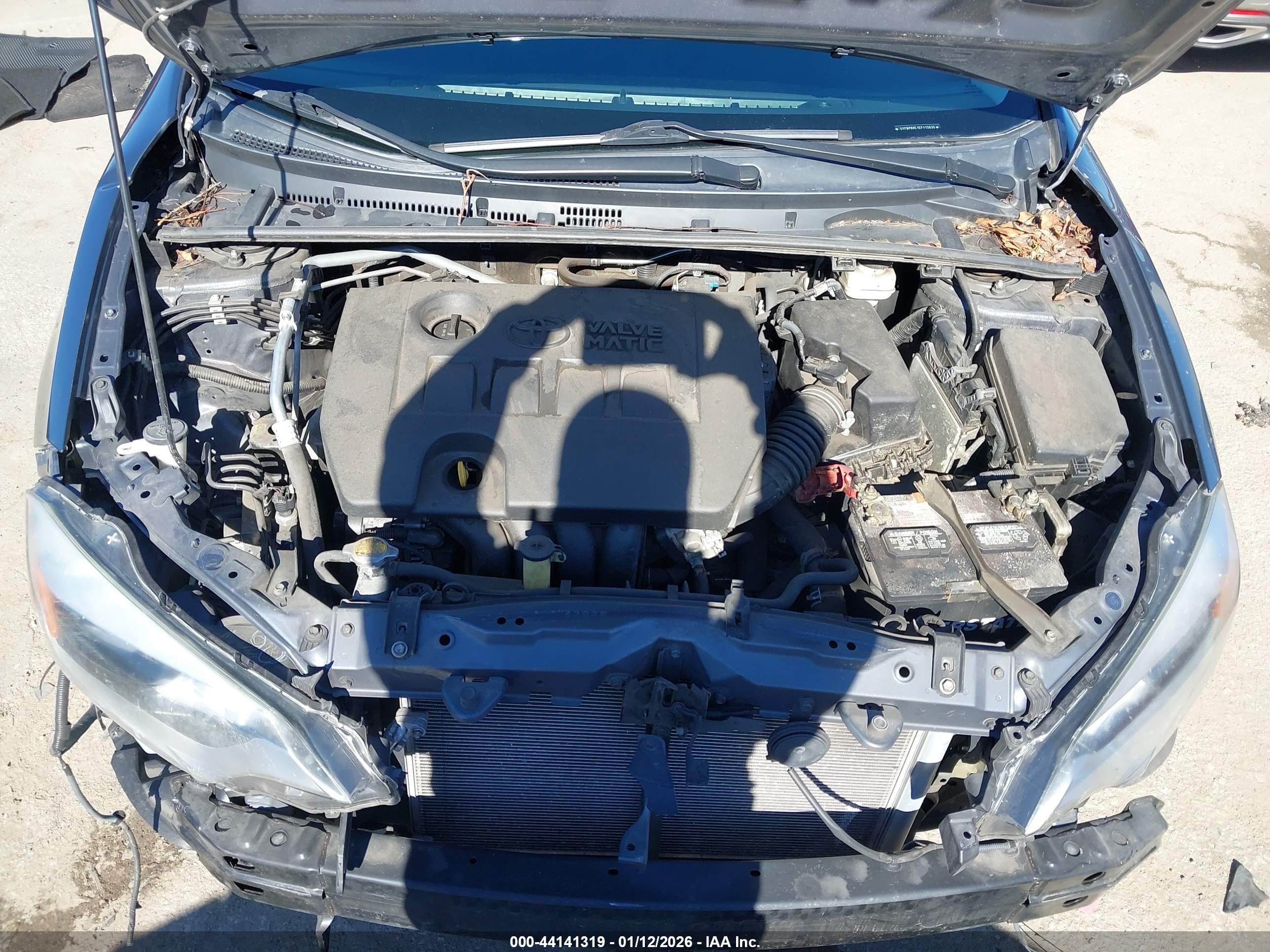TOYOTA COROLLA image 10