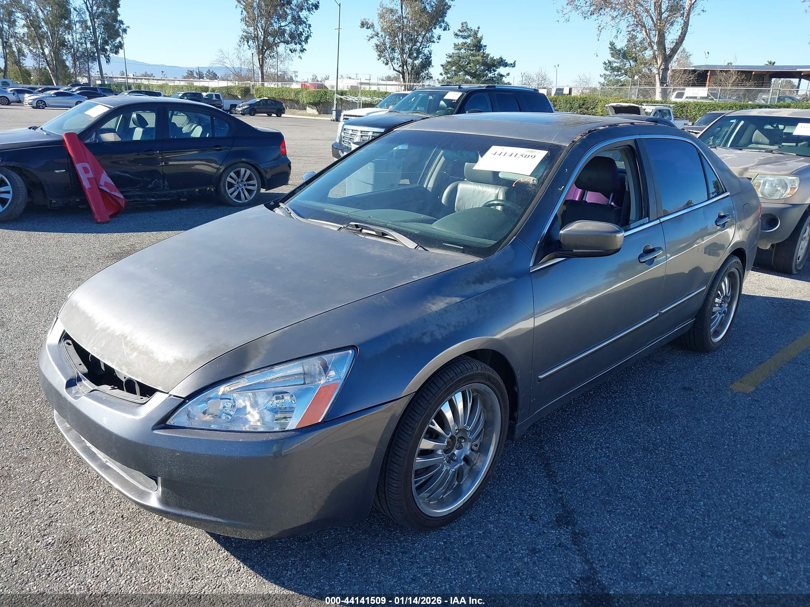 HONDA ACCORD image 2