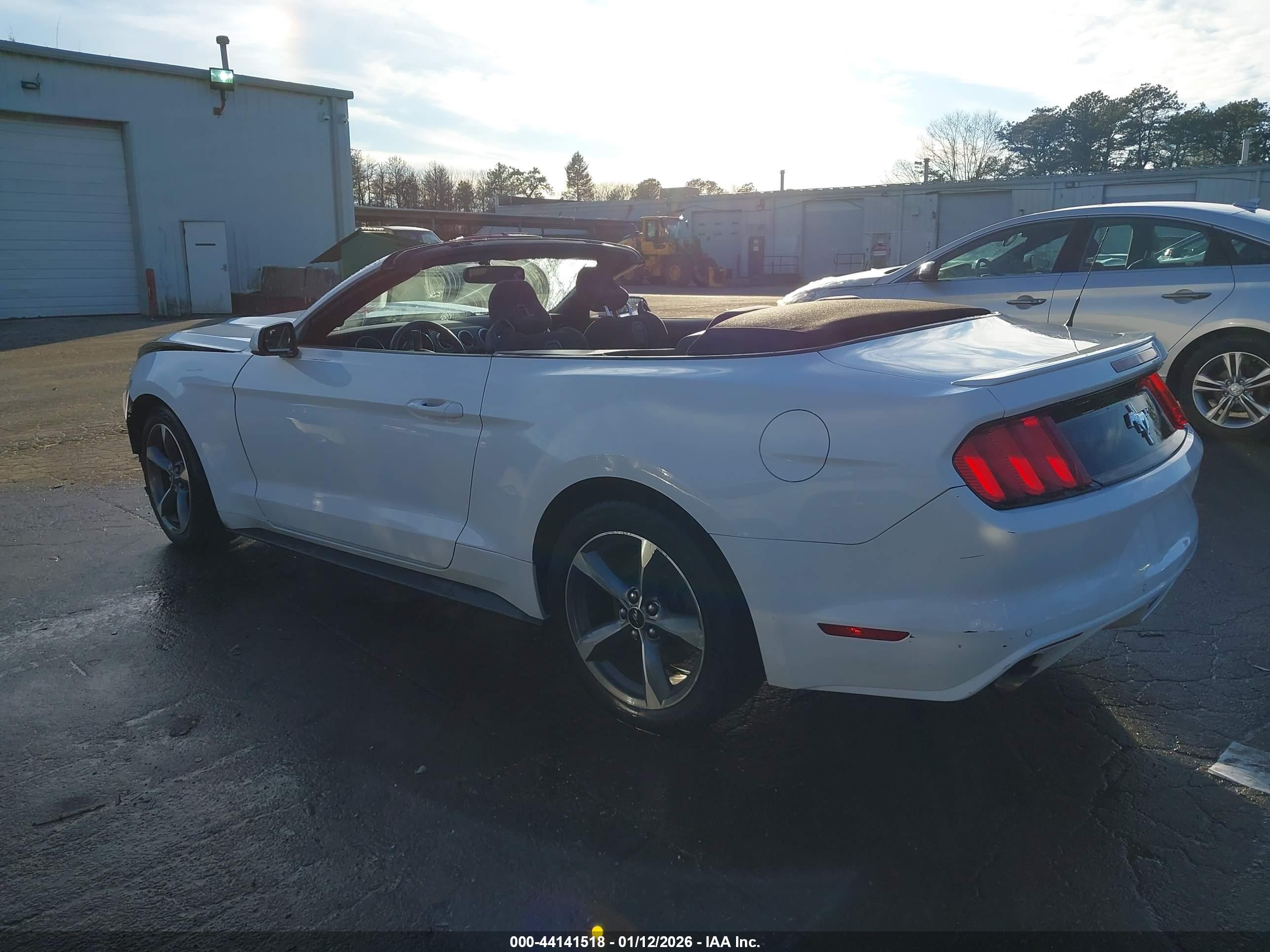 FORD MUSTANG image 3