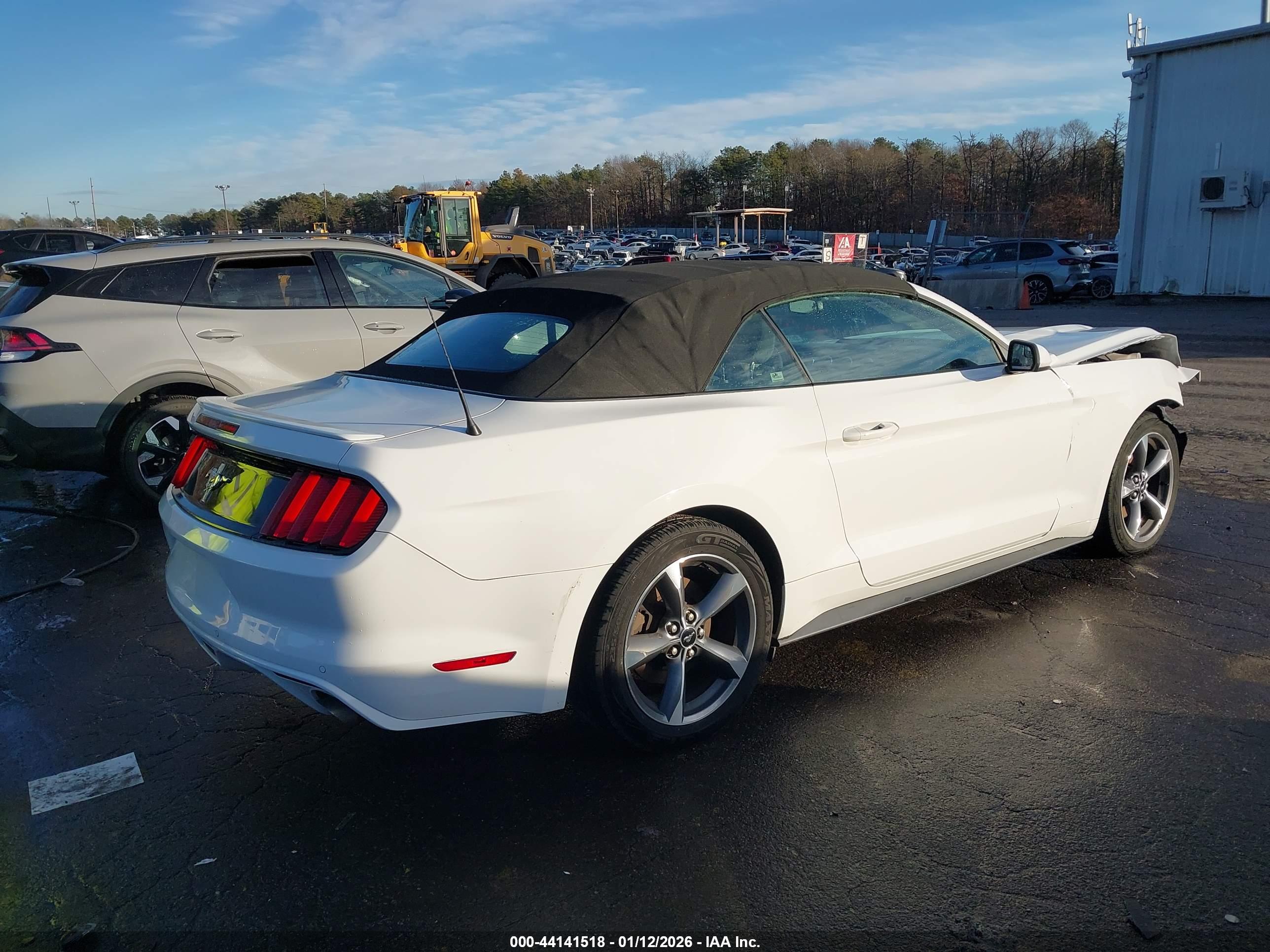 FORD MUSTANG image 4