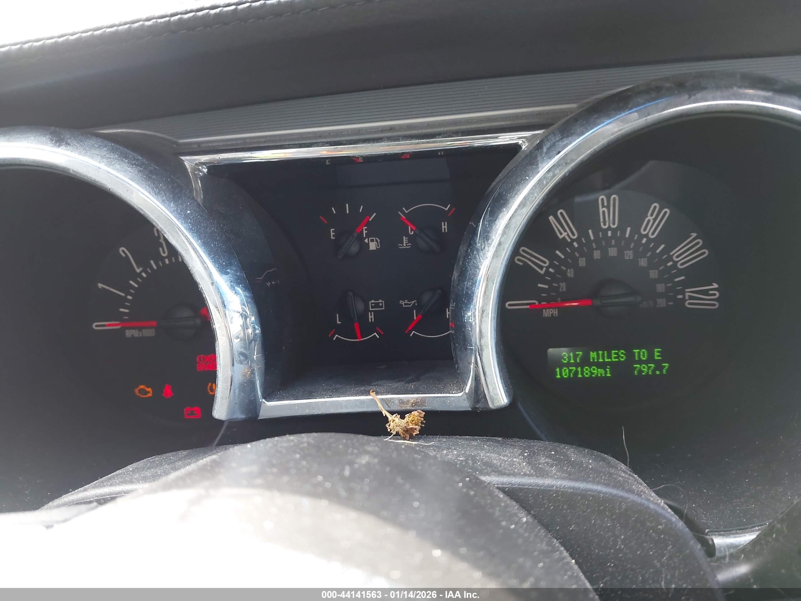FORD MUSTANG image 7