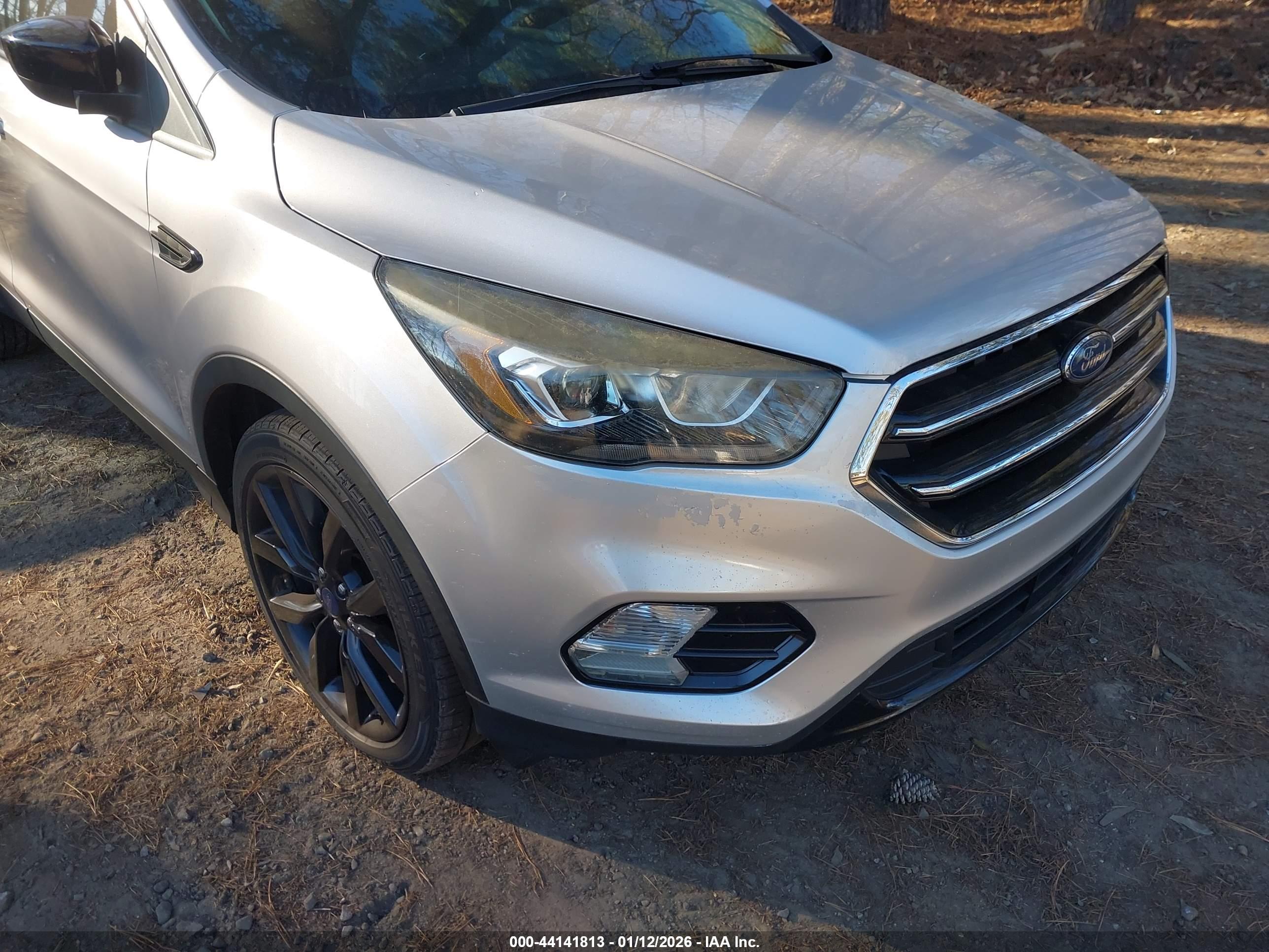 FORD ESCAPE image 6