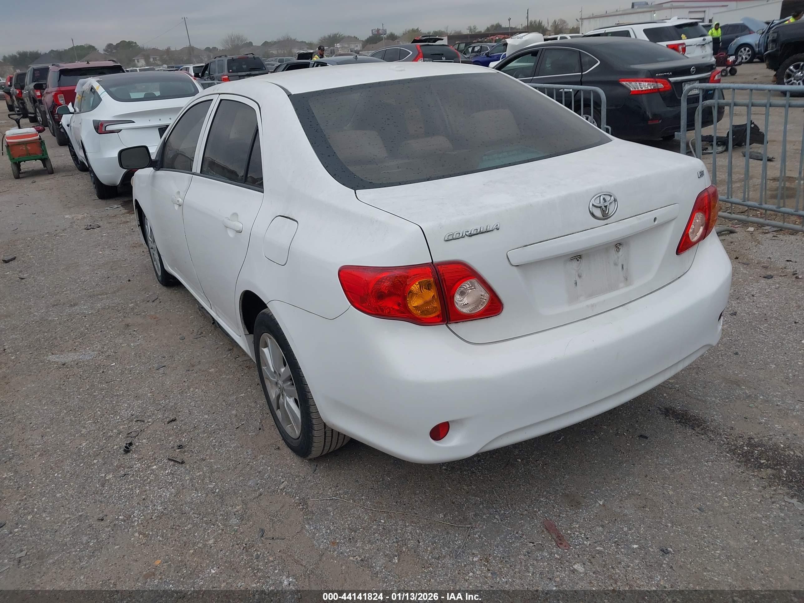 TOYOTA COROLLA image 3
