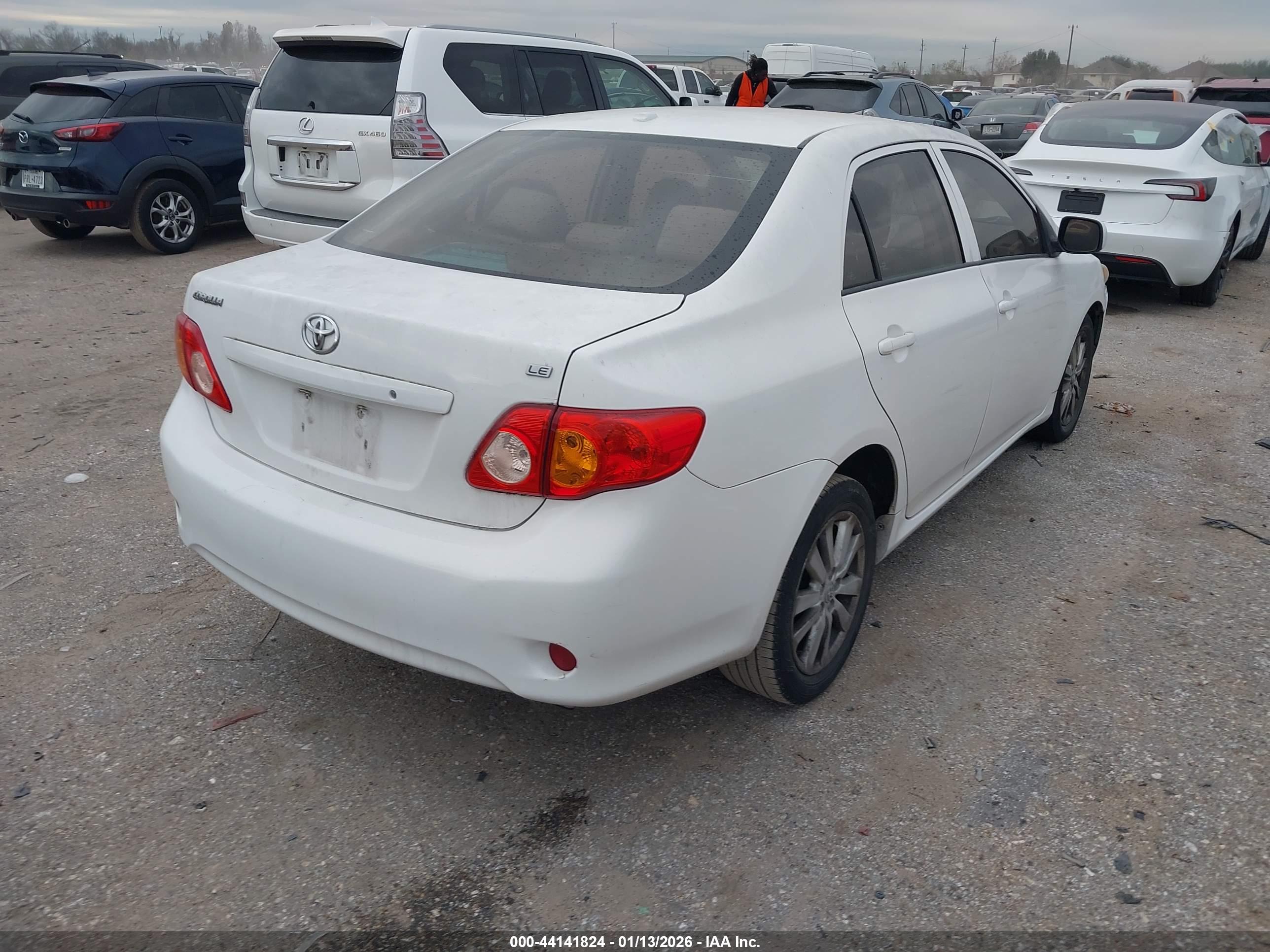 TOYOTA COROLLA image 4