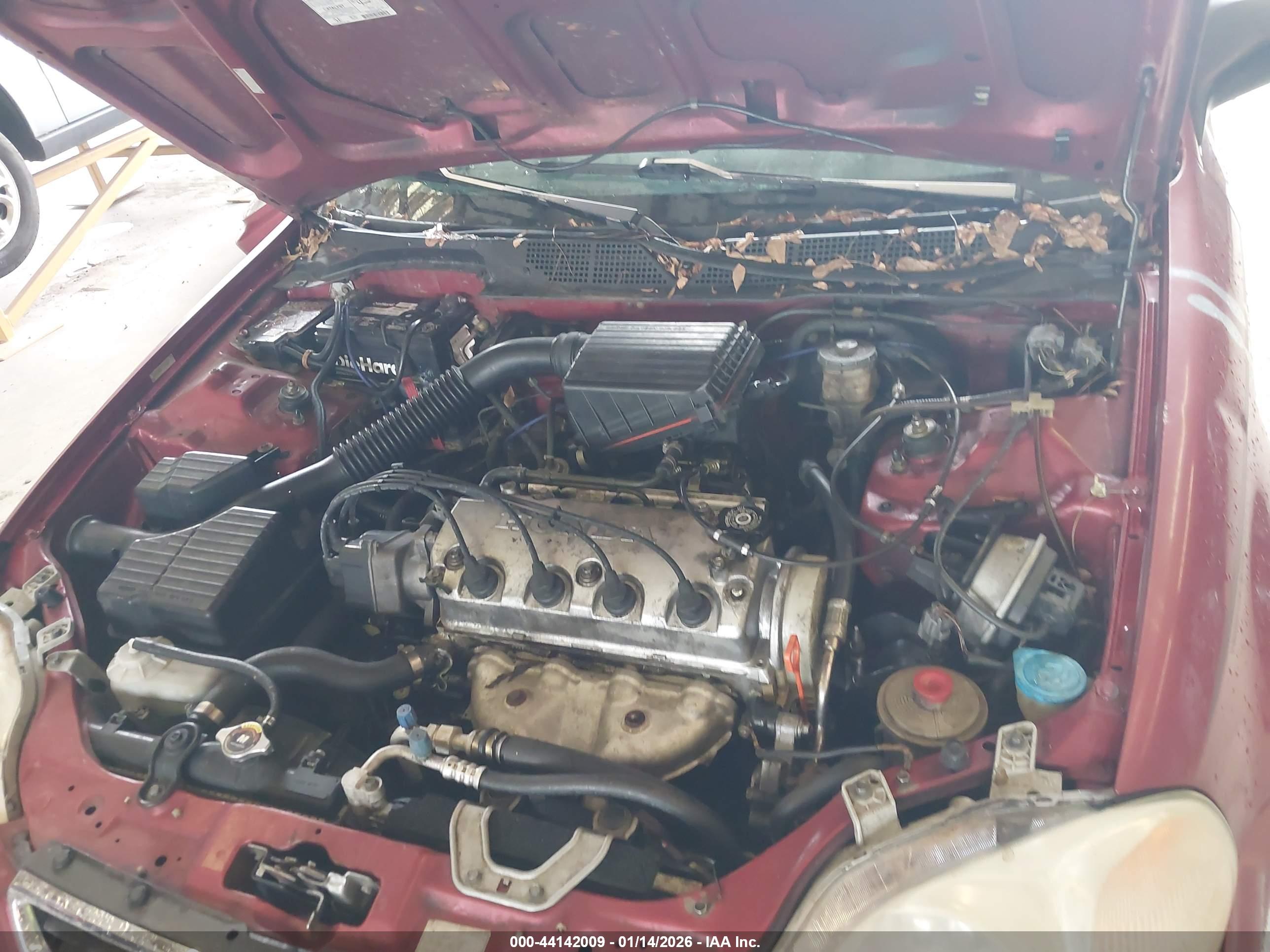 HONDA CIVIC image 10
