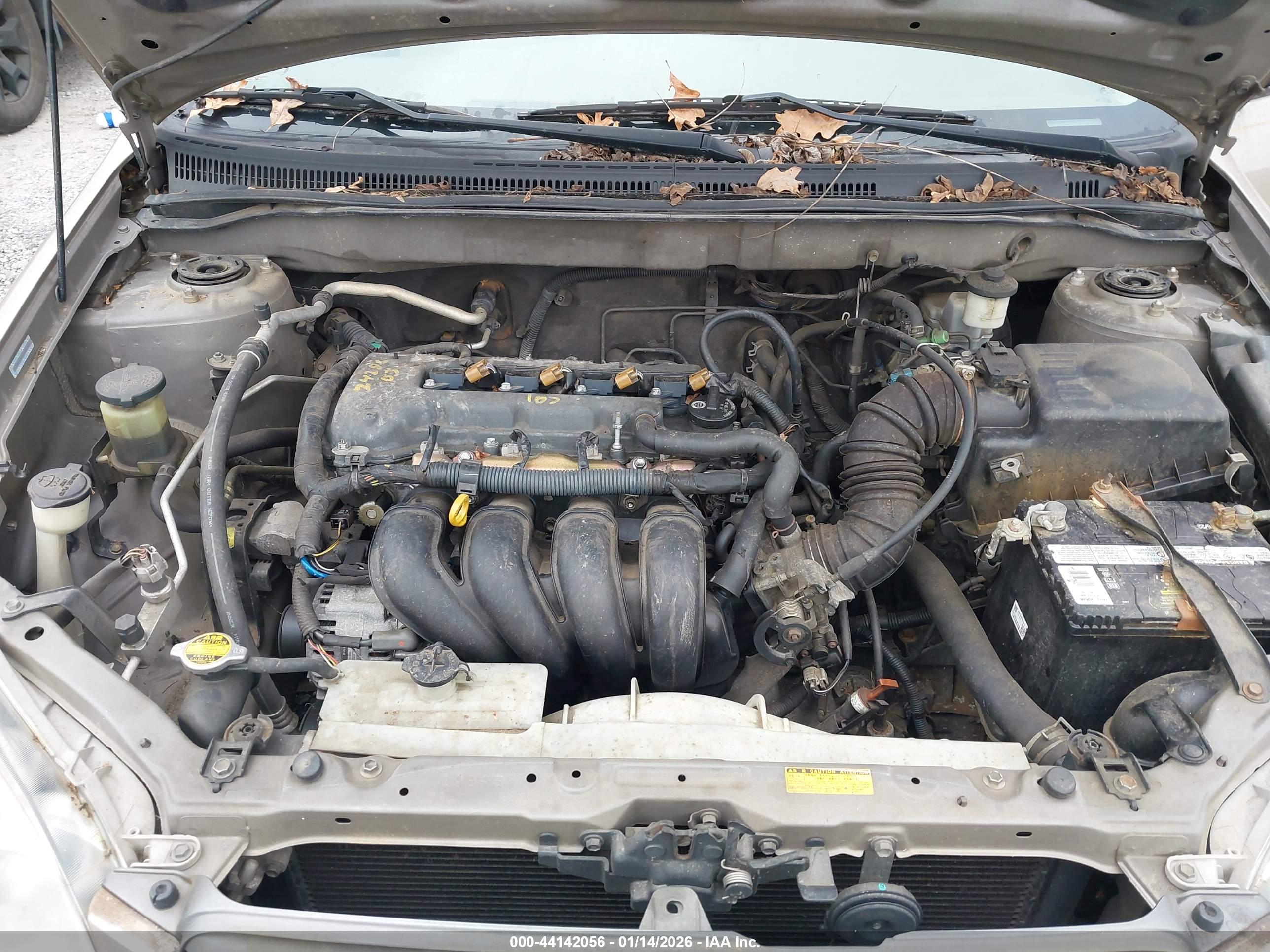 TOYOTA COROLLA image 10