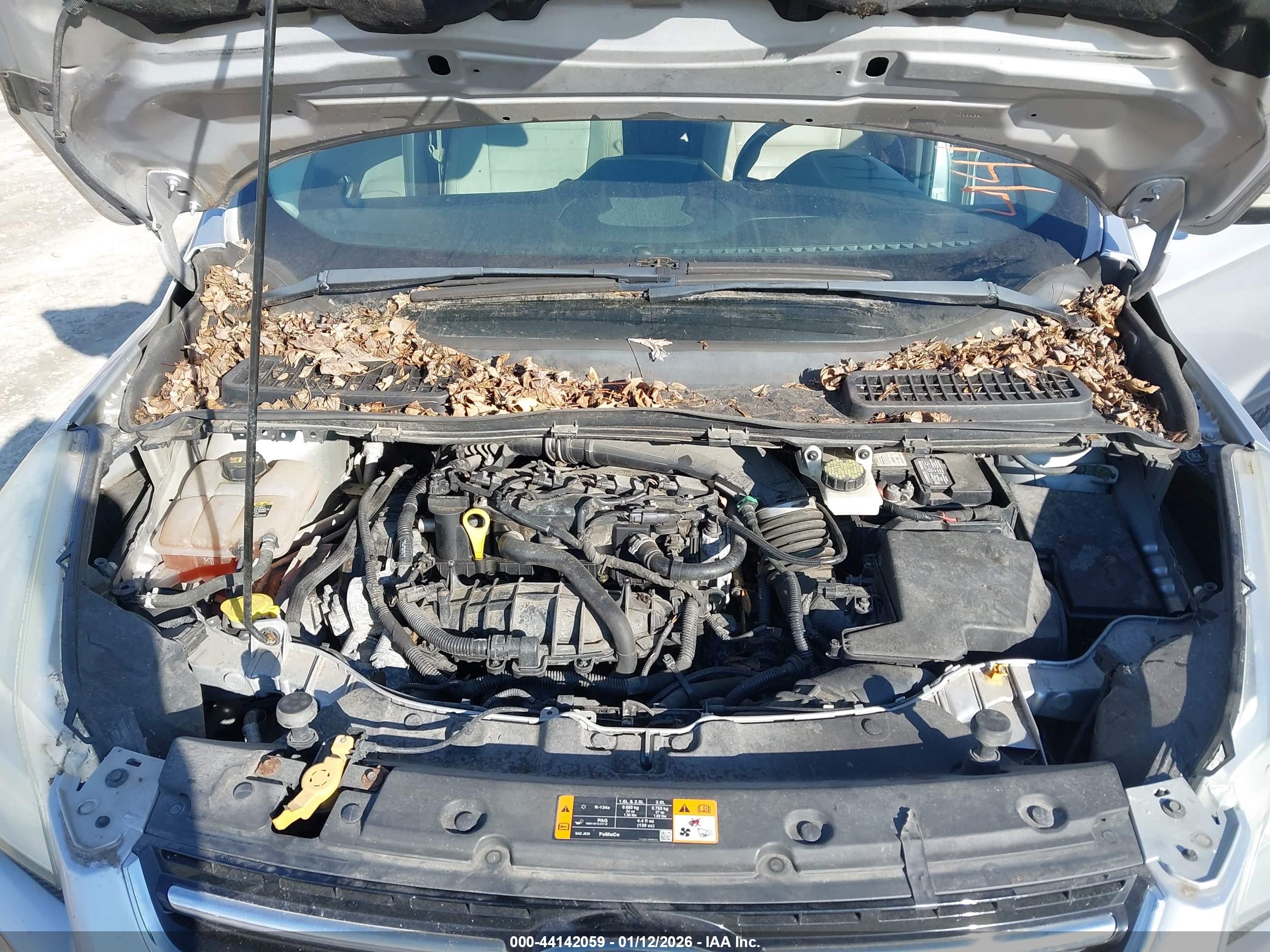 FORD ESCAPE image 10
