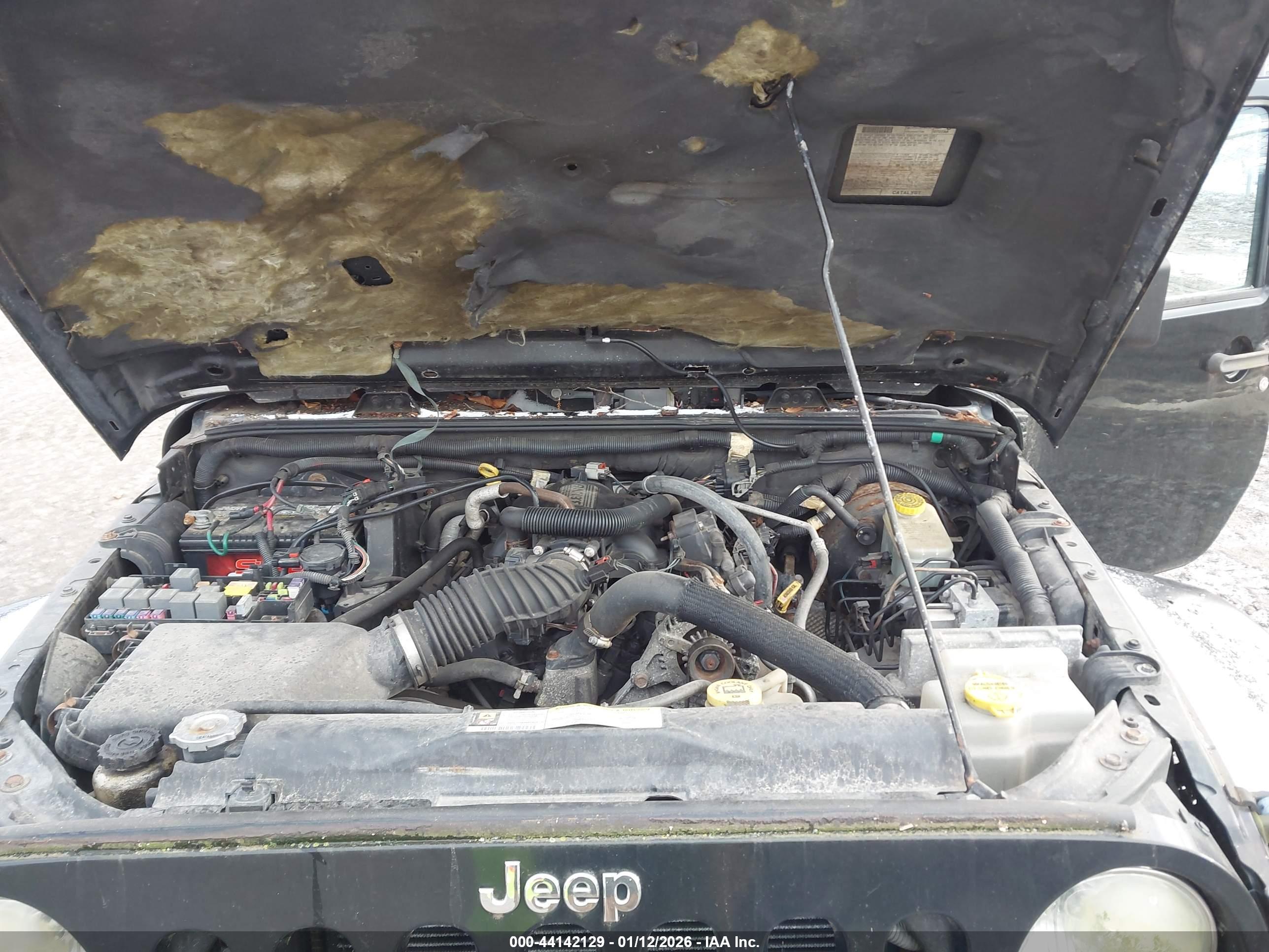 JEEP WRANGLER image 10